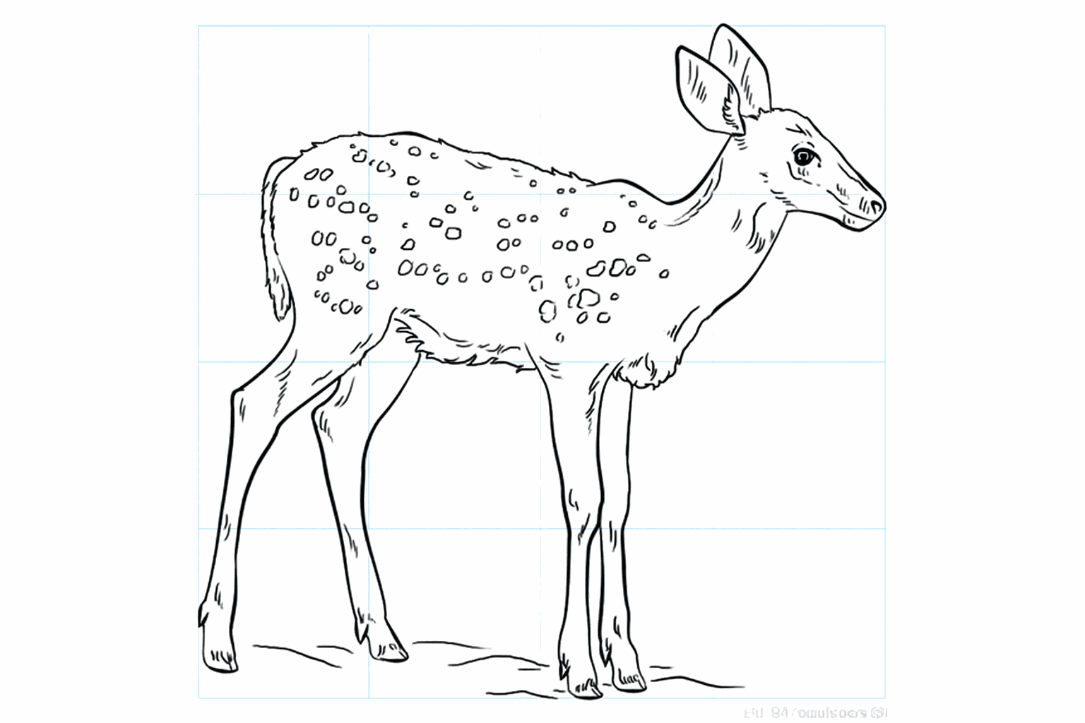 Drawing a cute little deer