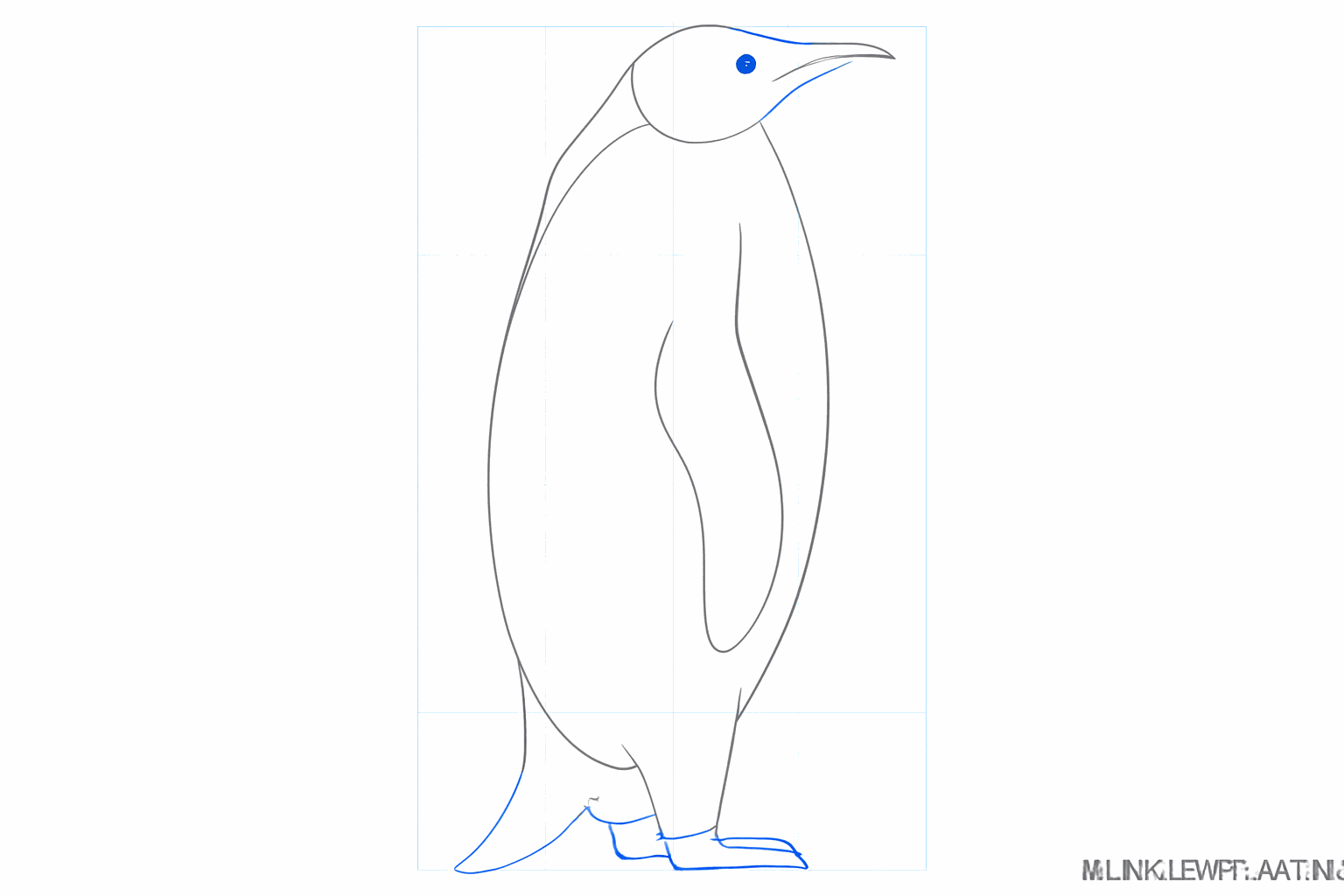 The wing, beak, and legs now take on a clear shape.