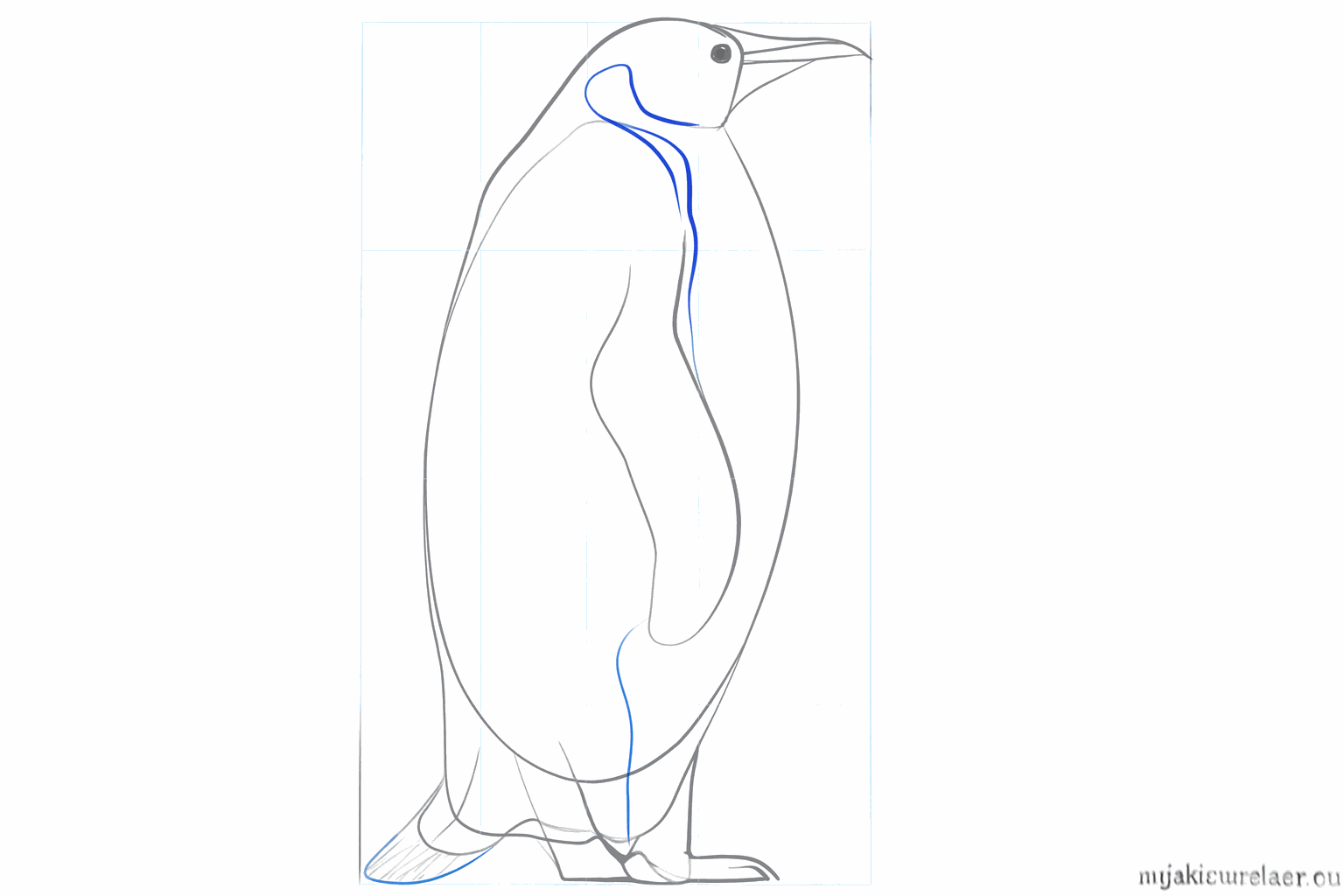 Details of the legs with toes and a small tail at the back.