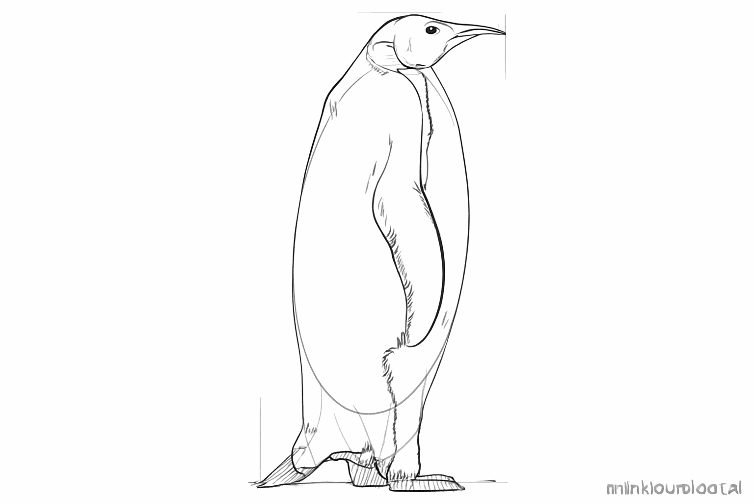 The penguin's face with an eye and the lines for the color distribution.