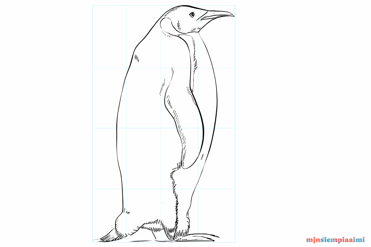 Drawing an Emperor Penguin: Step-by-step drawing lesson