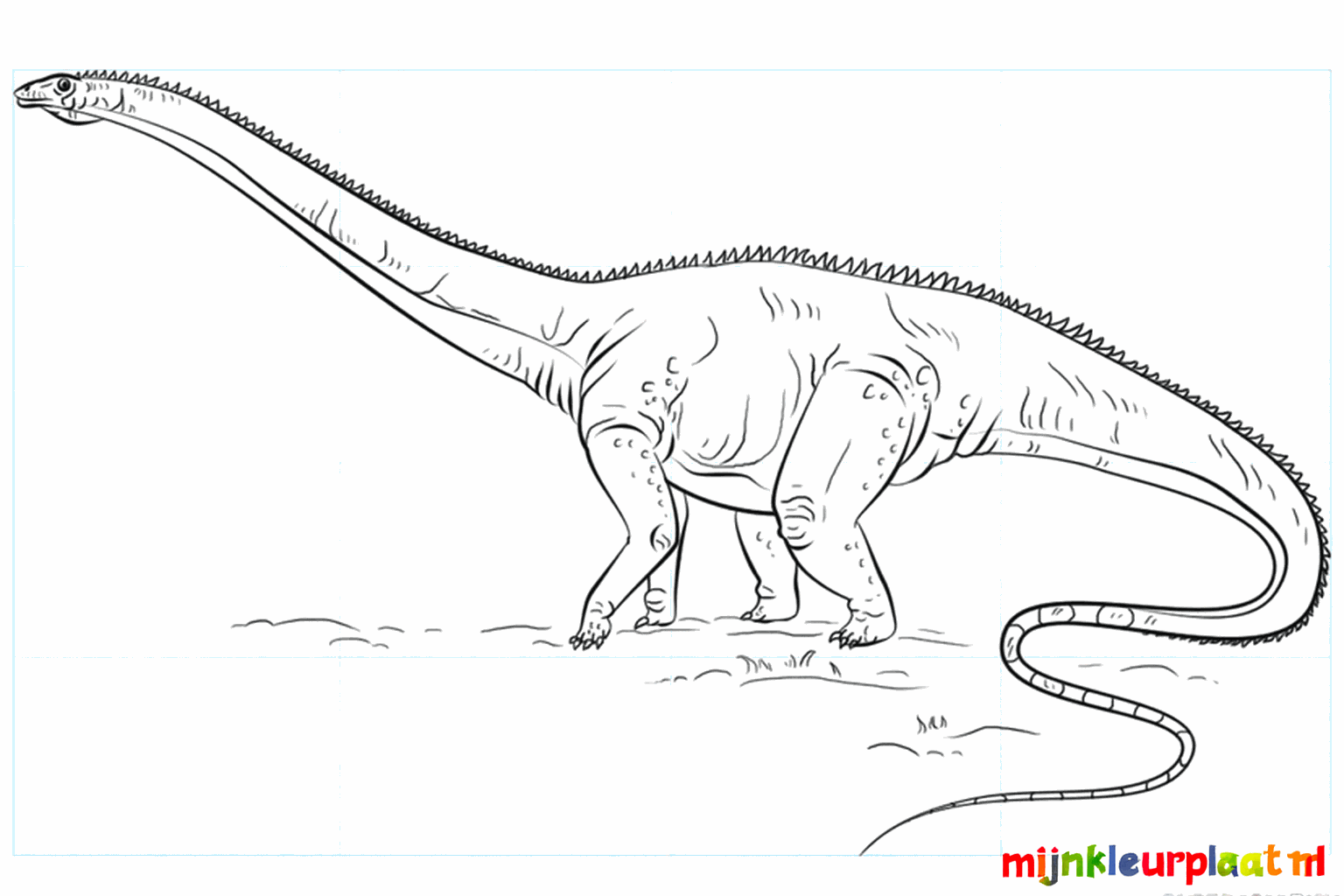 Drawing a giant Diplodocus