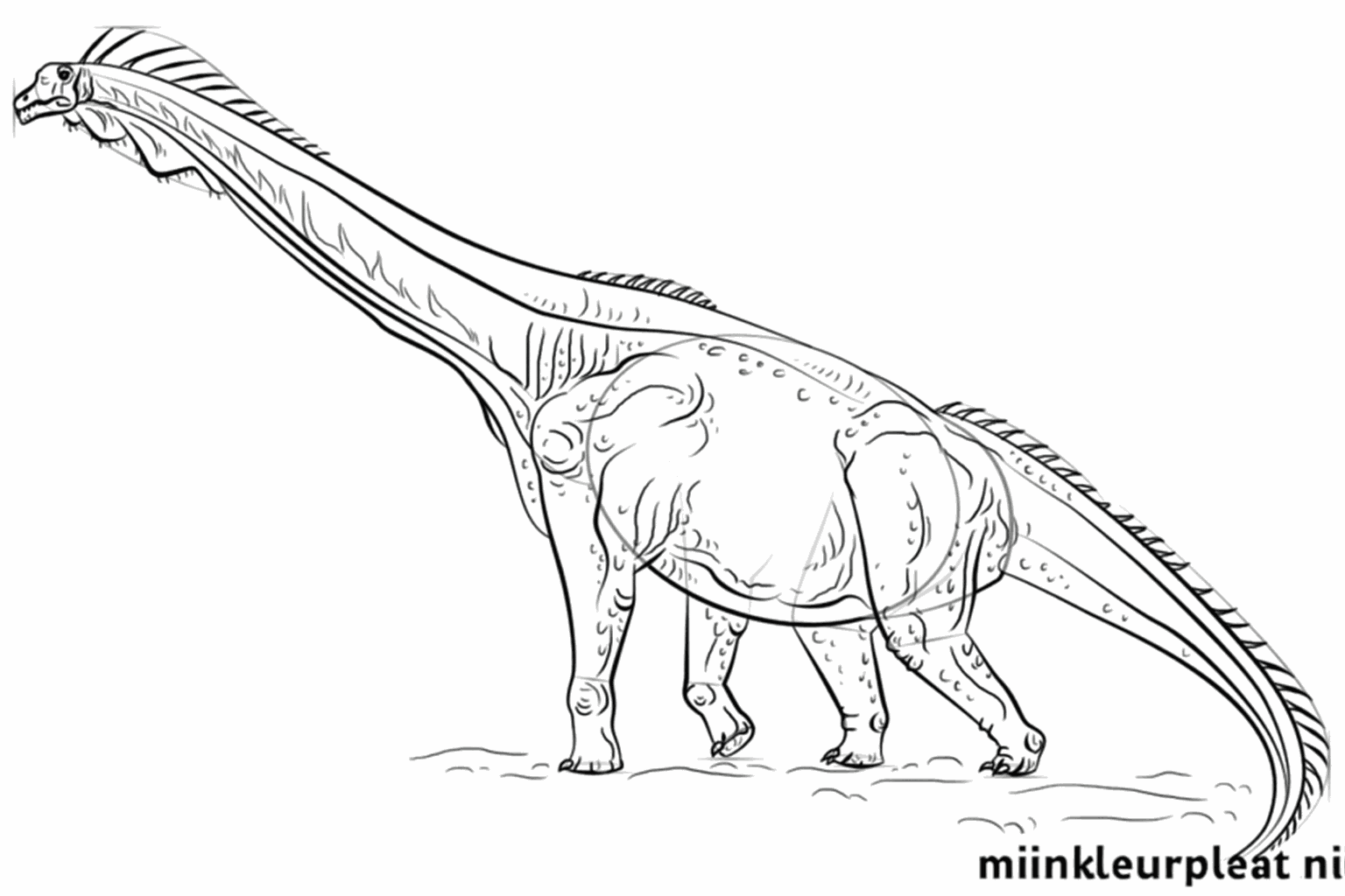 Dino drawing lesson step 7: Drawing teeth and spikes on the back of the Brachiosaurus.