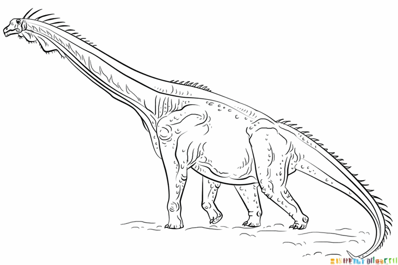 Drawing a Brachiosaurus: Step-by-step a giant dino