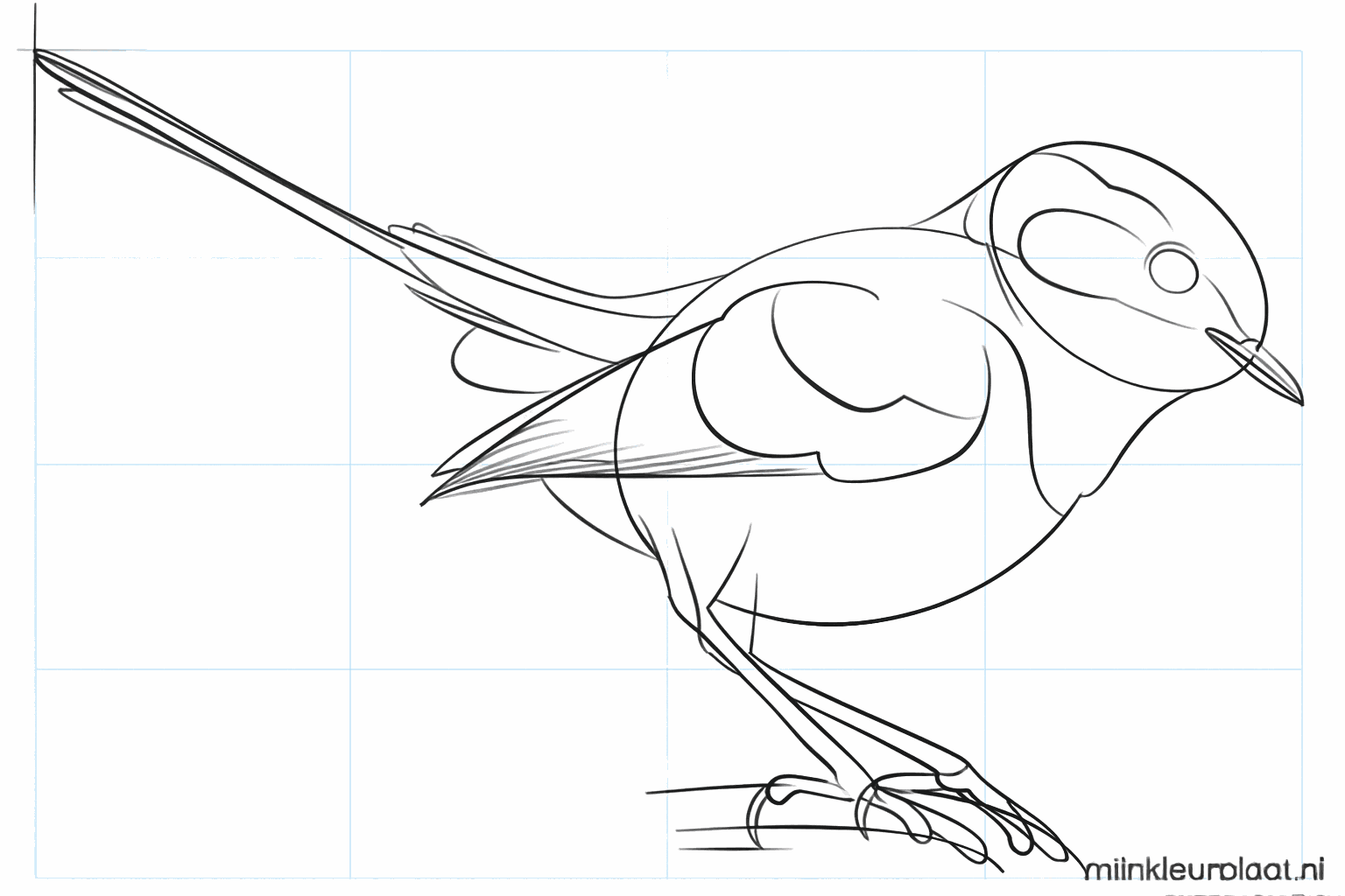 Details of the feet on the branch and feathers in the wings.