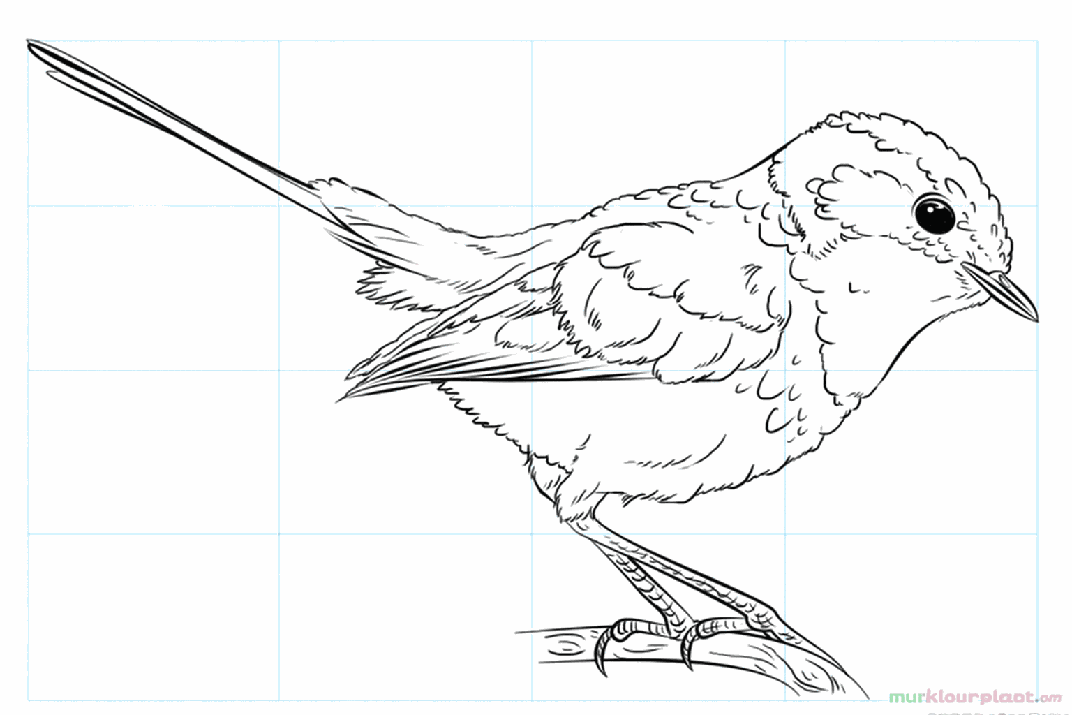 Drawing a cheerful blue bird