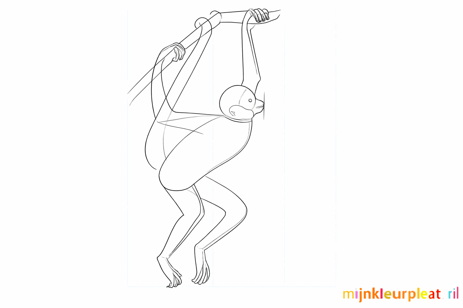 Adding ears, hands, and feet to the drawing of the monkey.