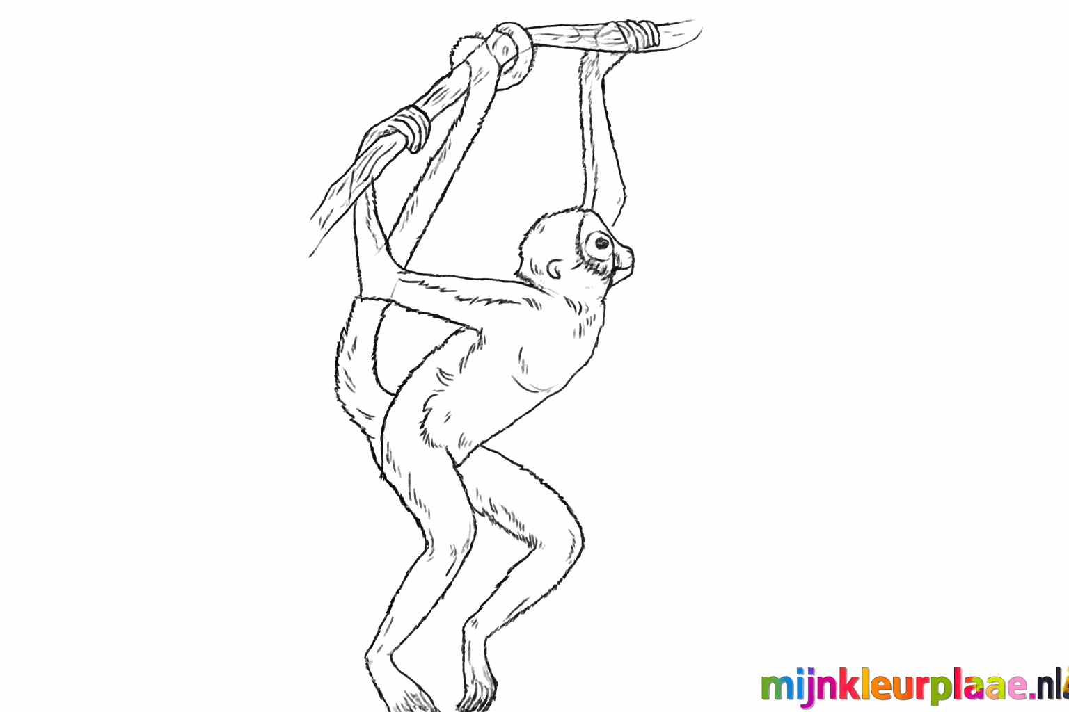 Making the tail thicker and adding small details like the nose.