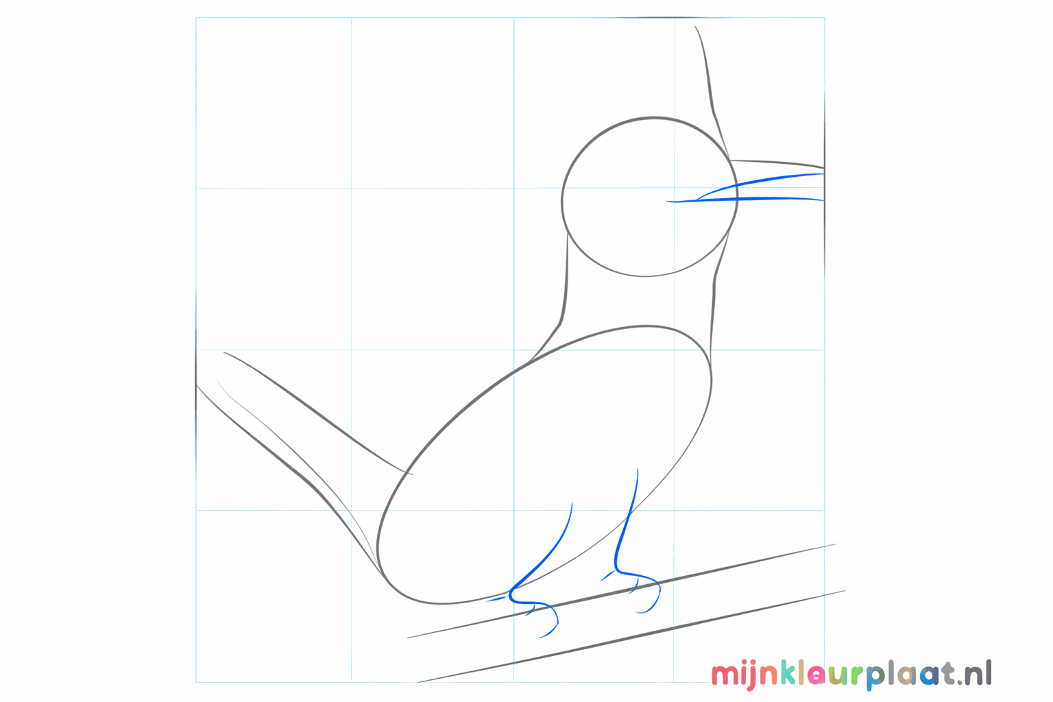Drawing guide lines for the beak and the legs of the bird.
