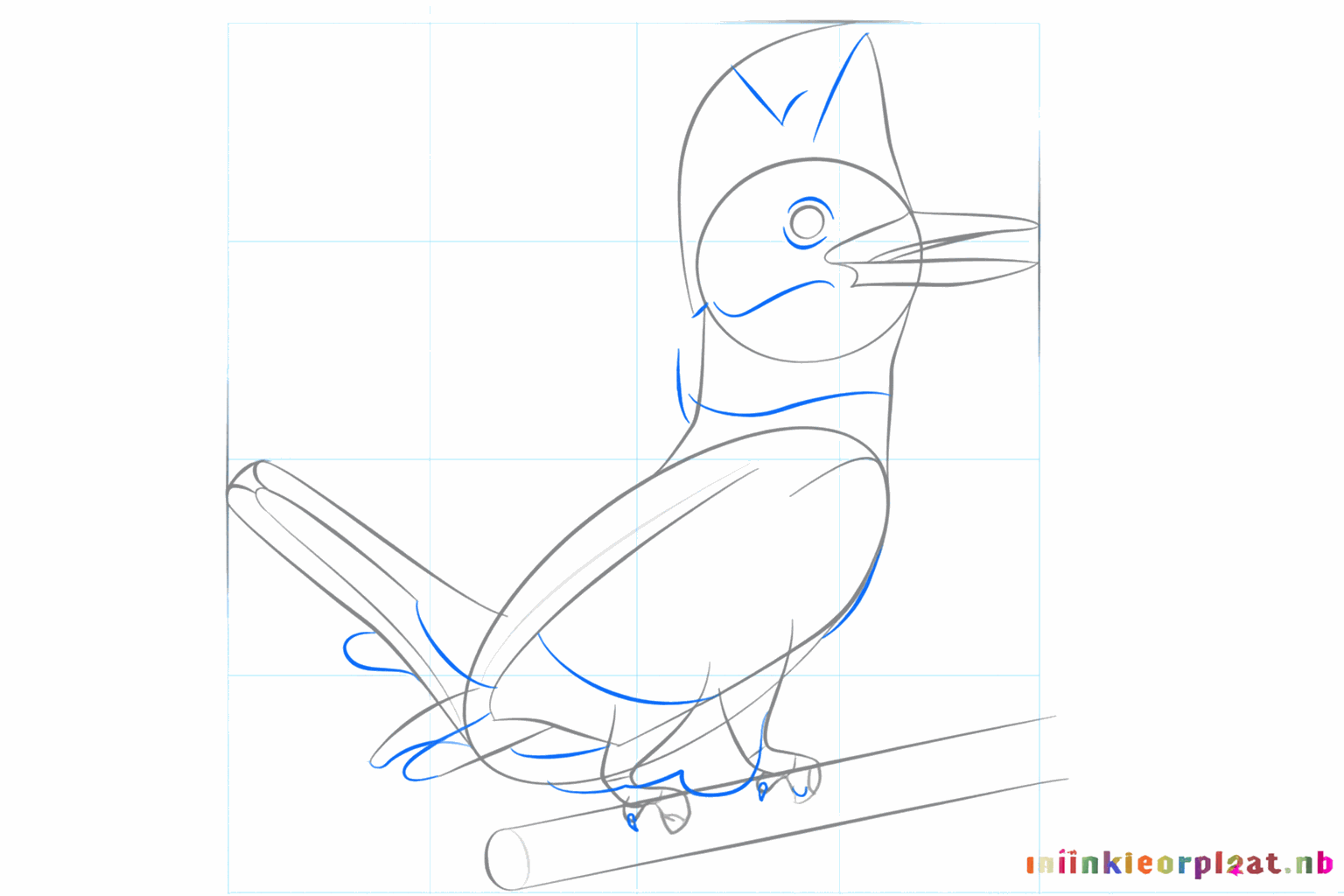 Drawing legs on the branch and a crest on the head of the kingfisher.