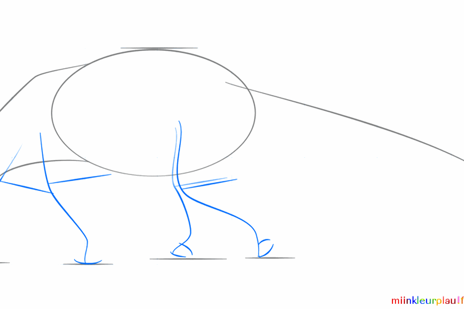 Guide lines for the long snout and the four legs of the anteater.