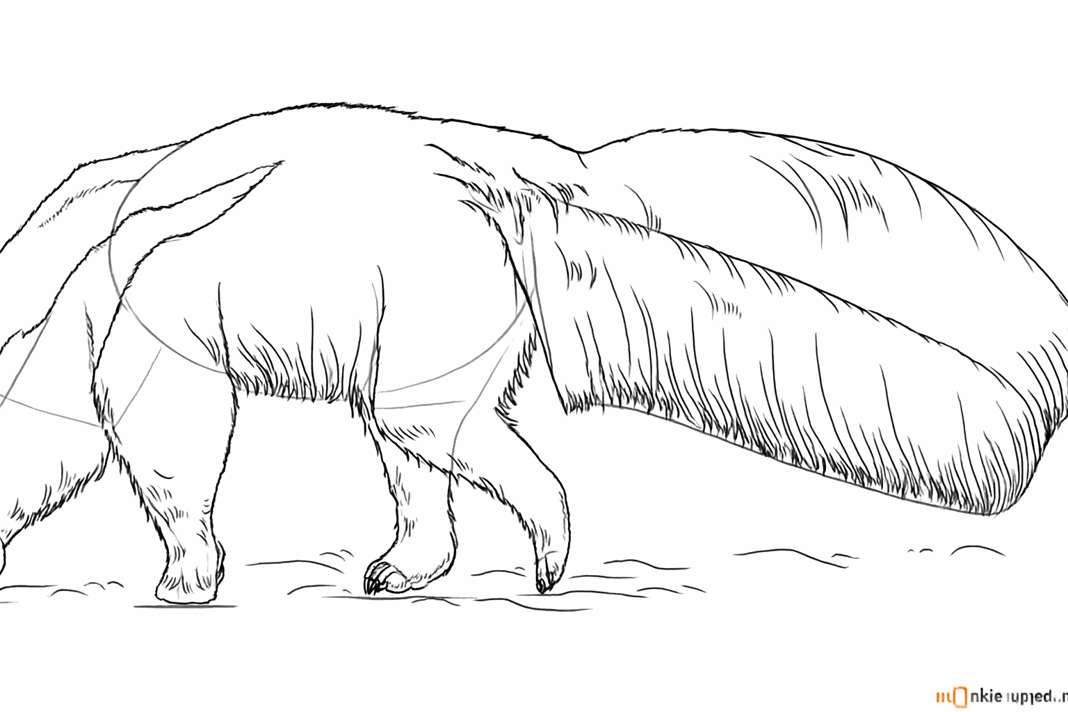 Sharp claws and small lines that look like hairs.