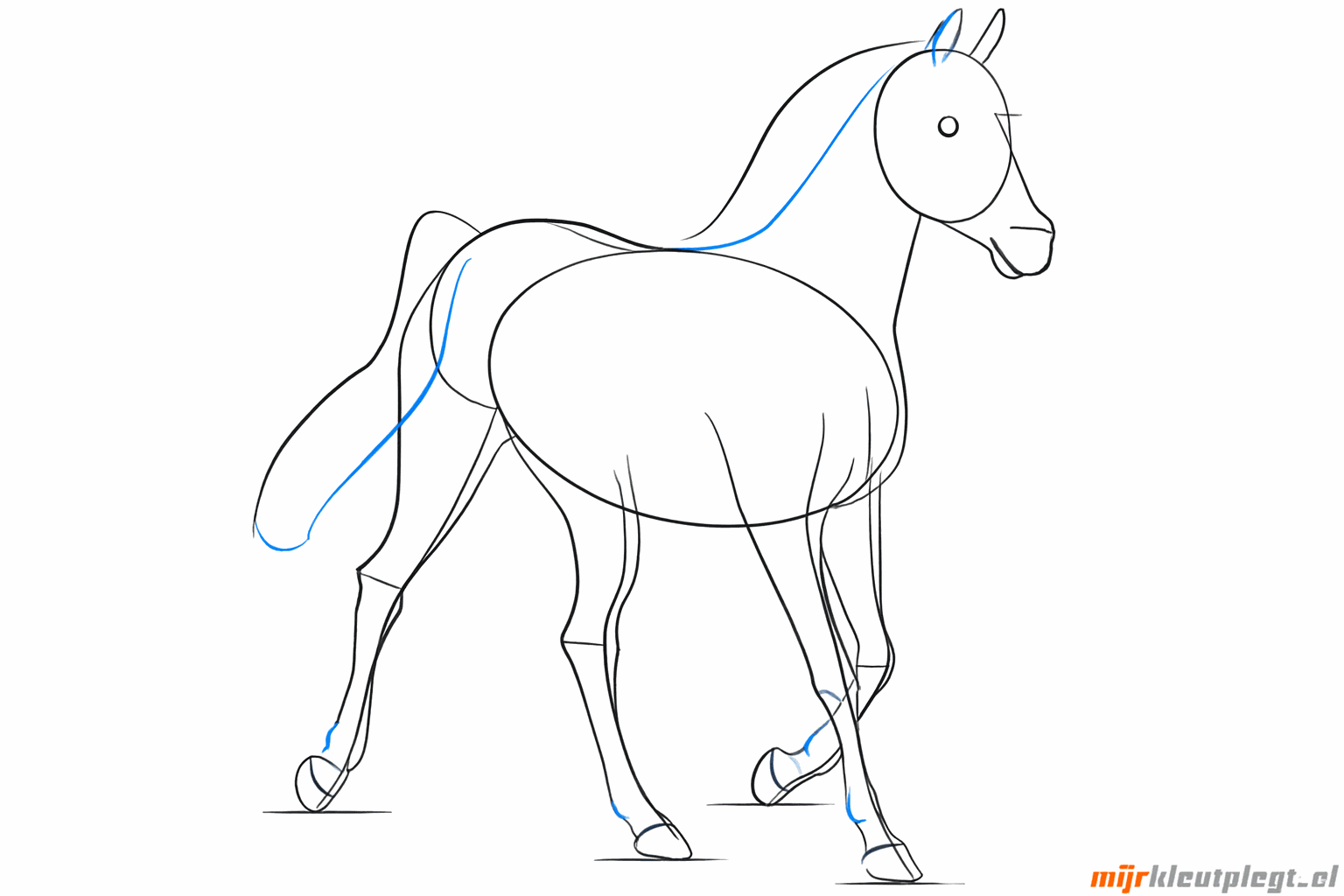 Drawing of the horse ears and a round nose.