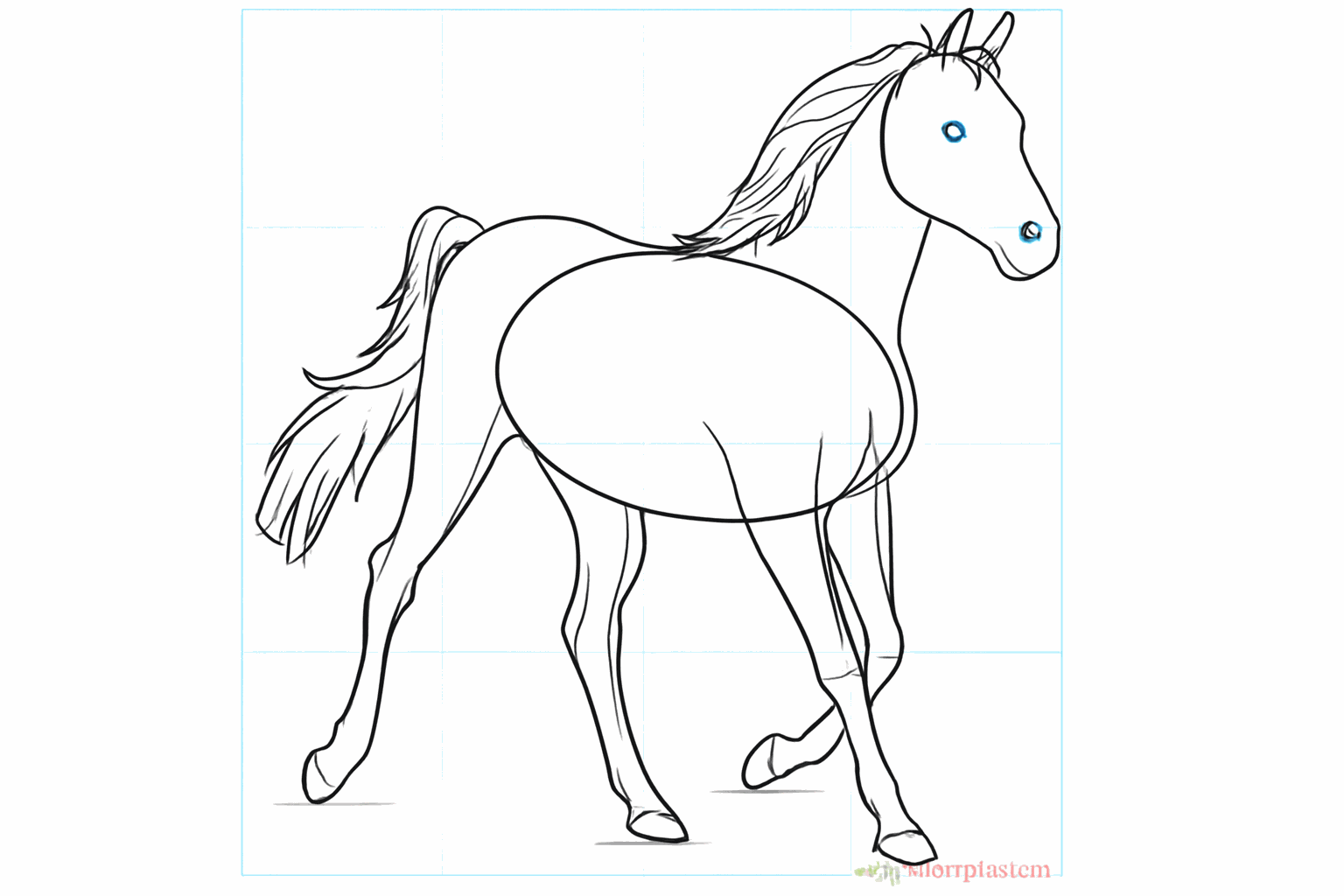 Details of the face and the first hairs of the tail.