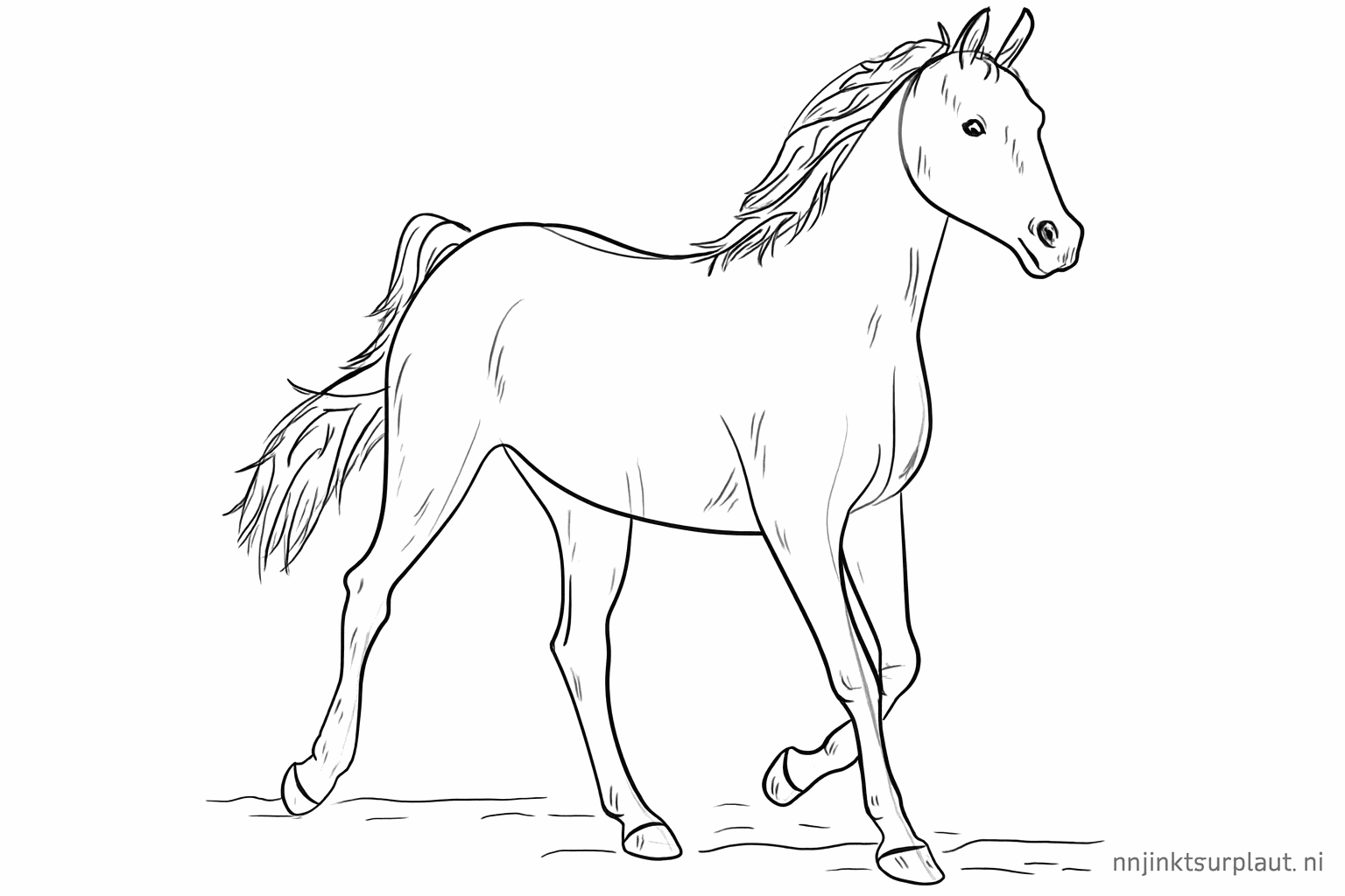 The mane on the neck and details of the horse legs.