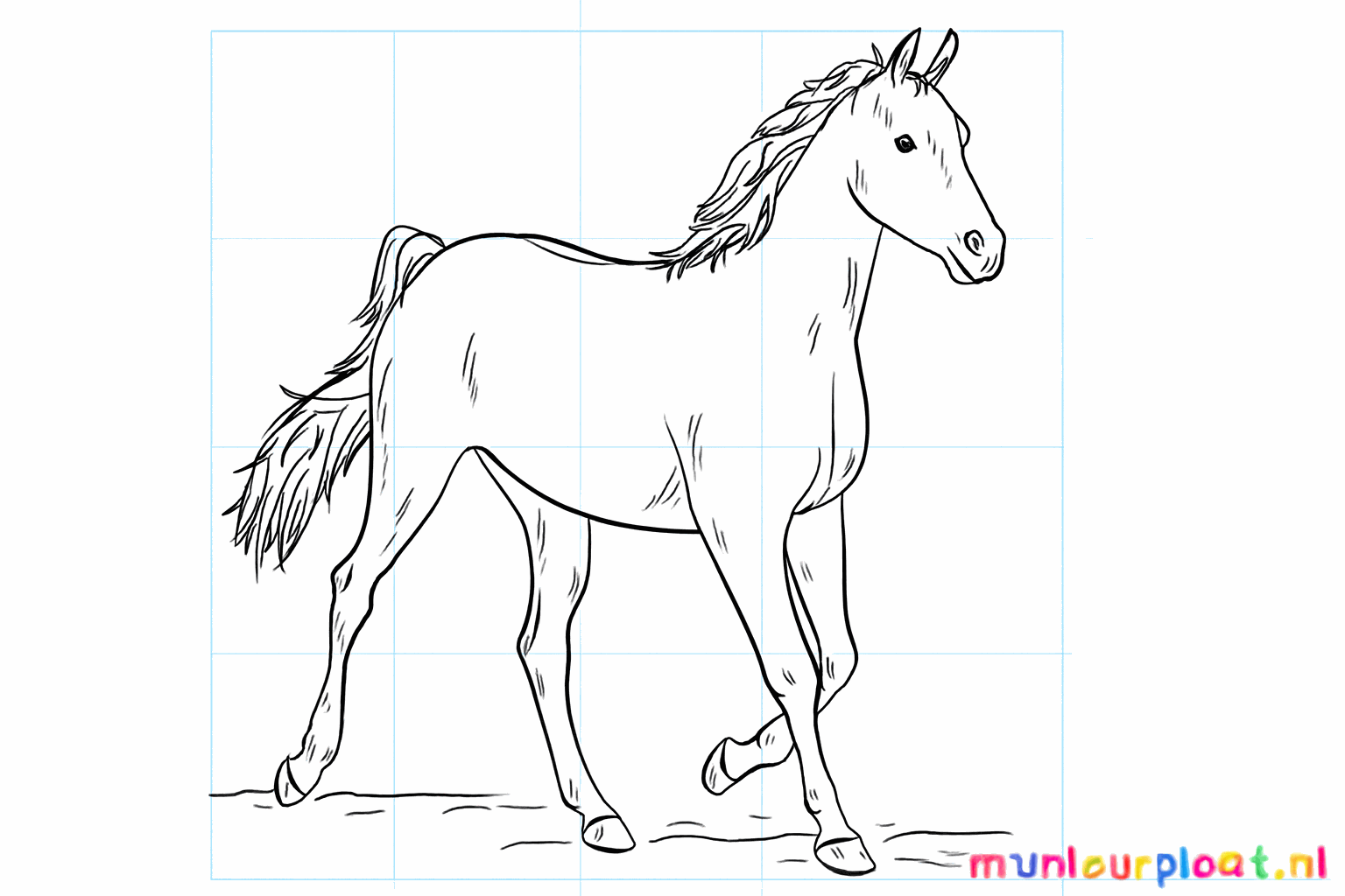 Drawing a beautiful Arabian horse