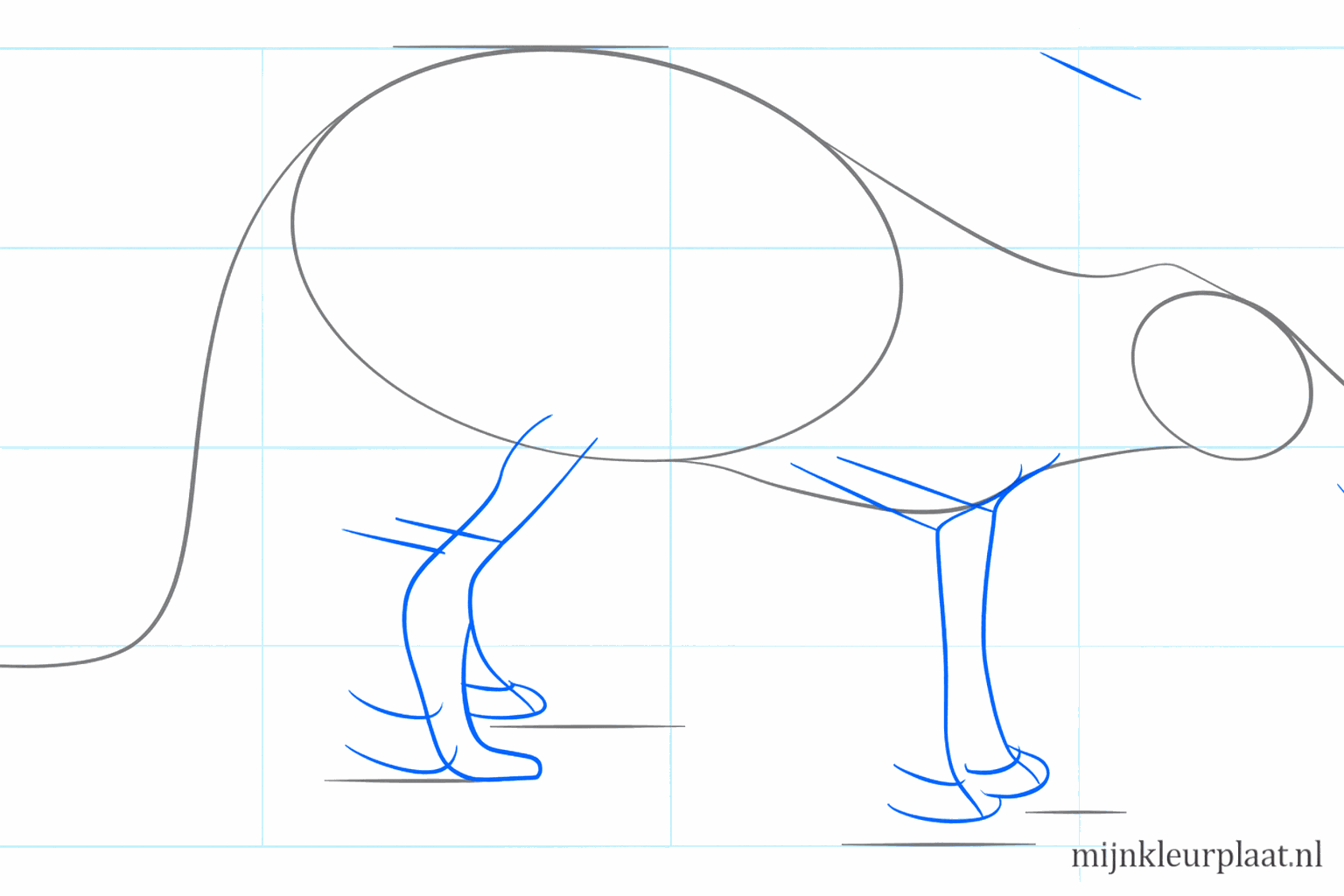 Guide lines for the legs, the long snout, and the ears on top of the head.