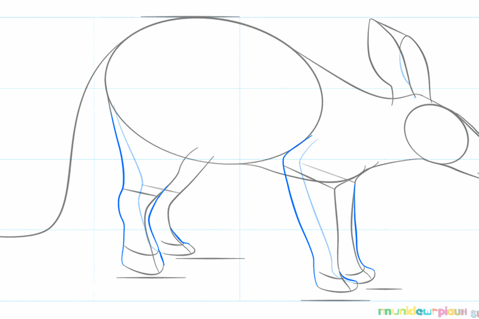 Thick legs and large, rabbit-like ears drawn on the aardvark.