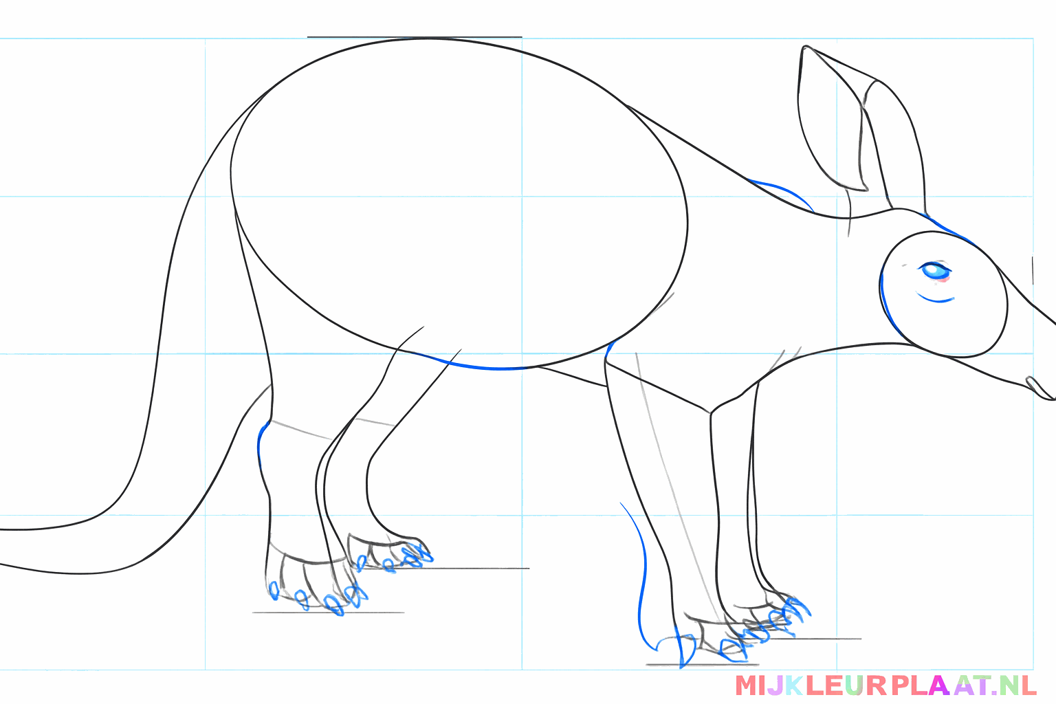 Details of the toes and a small round eye on the head of the animal.