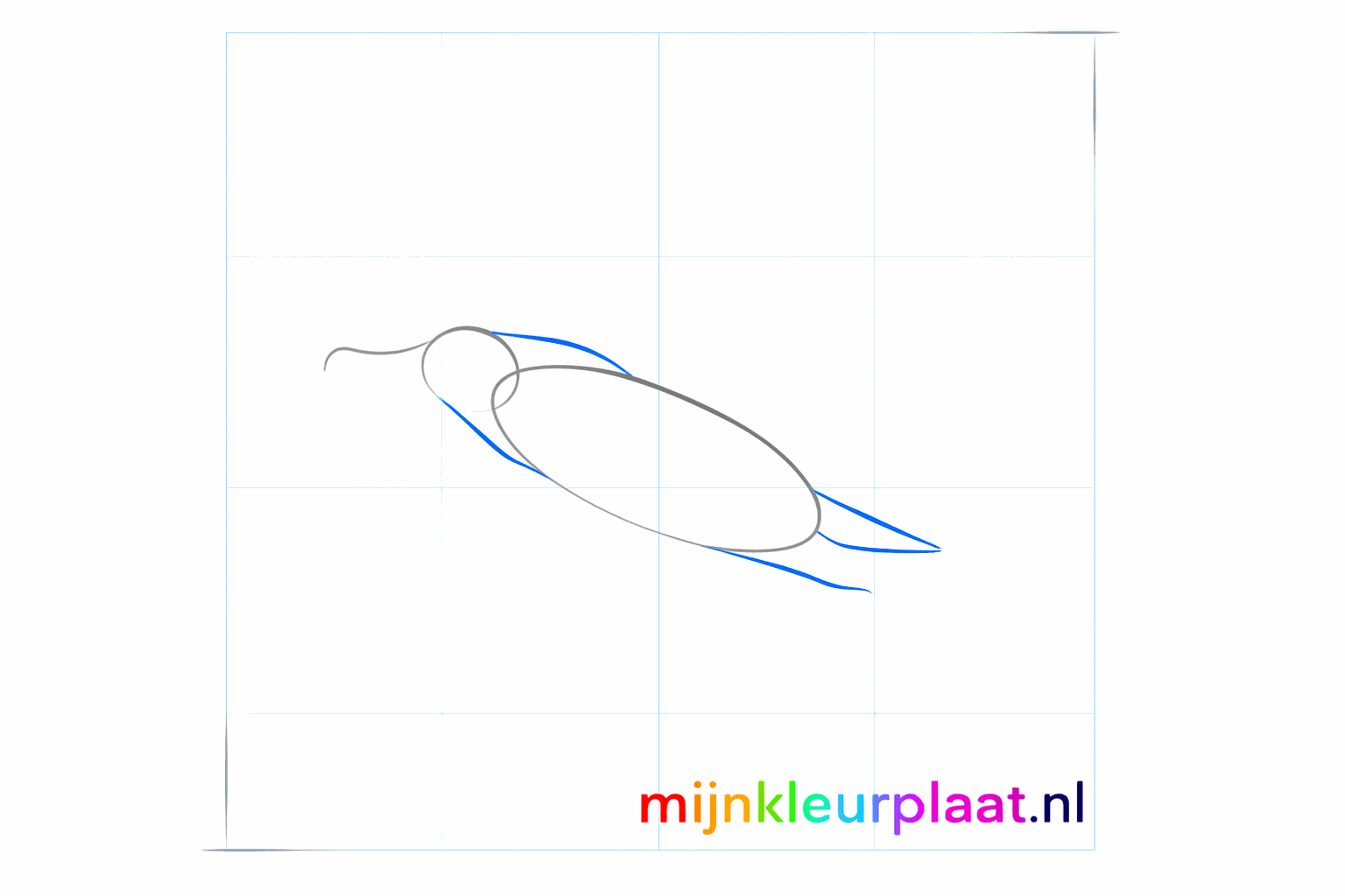 Guide lines for the neck and the tail of the albatross.