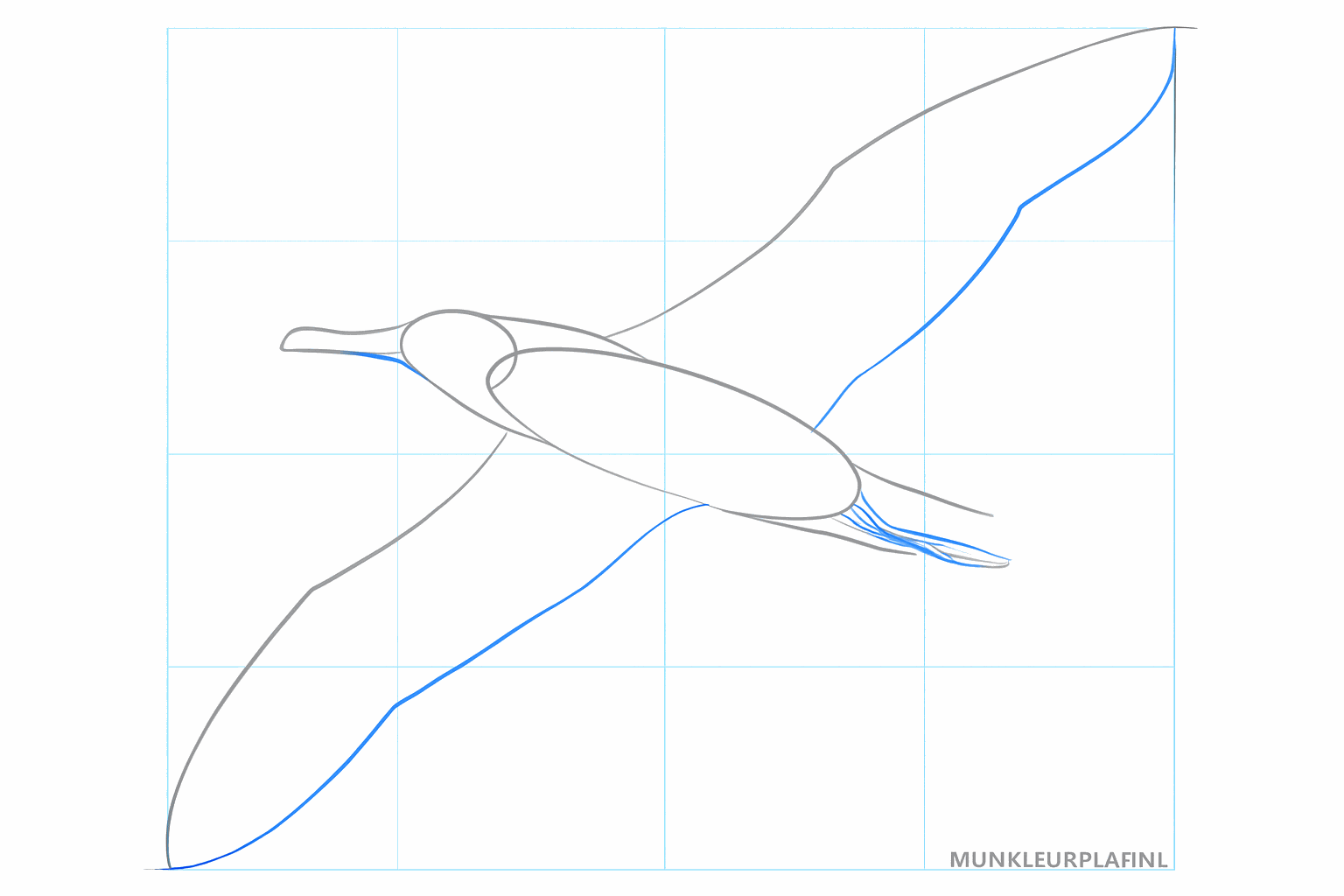 Rough shapes of the wings and the beak of the bird.