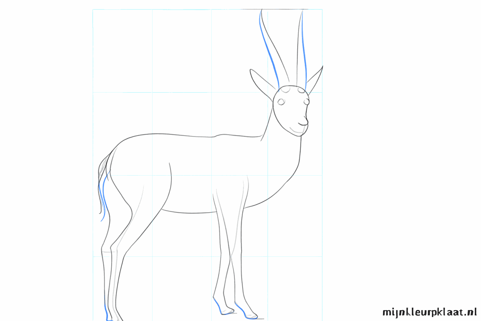 Long lines for the horns and the shape of the nose and mouth.