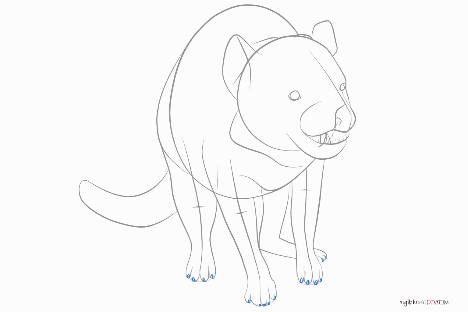 Facial features like eyes and nose, plus small toes on the paws.