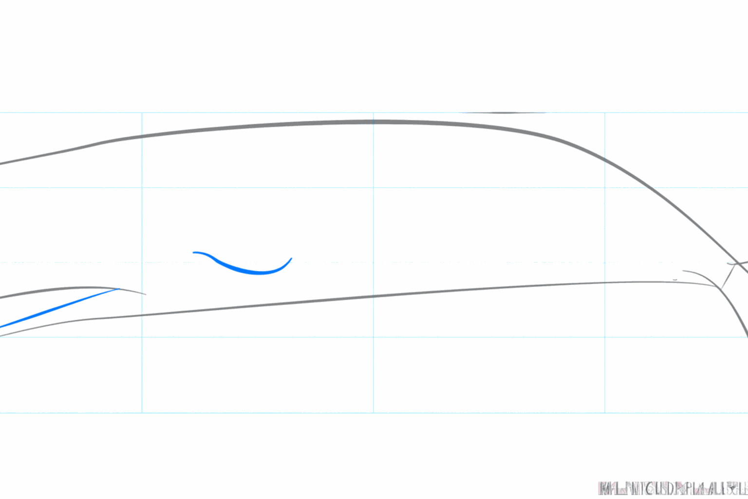 Simple lines indicating the placement of the fins and the mouth of the sperm whale.