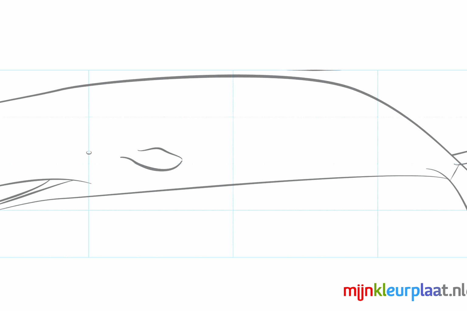 The tail fins and side fin now get their real shape and the mouth becomes visible.