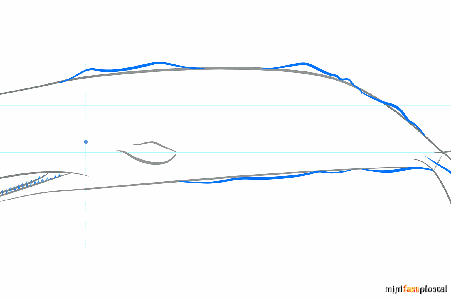 A sperm whale with a small eye and details around the long lower jaw.