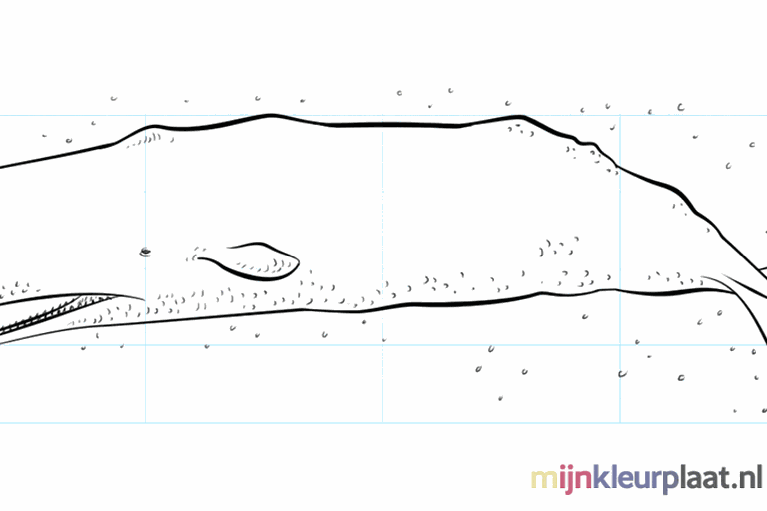 Drawing a cool sperm whale