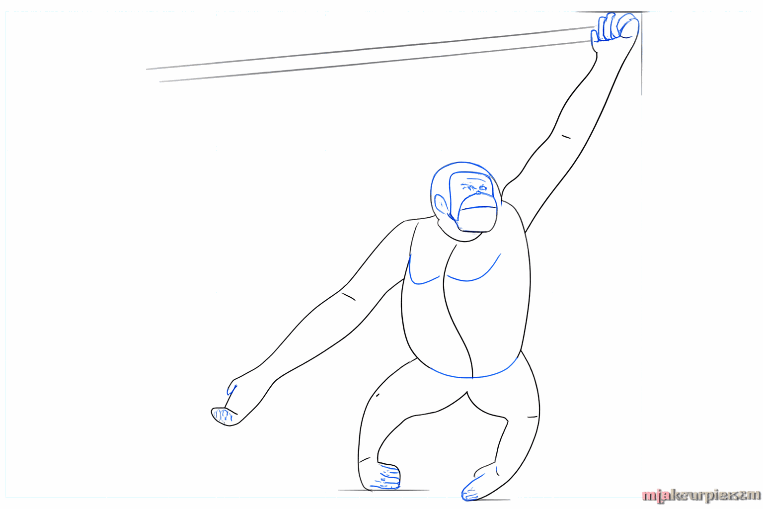 Details of the hands, feet, and ears of the orangutan.