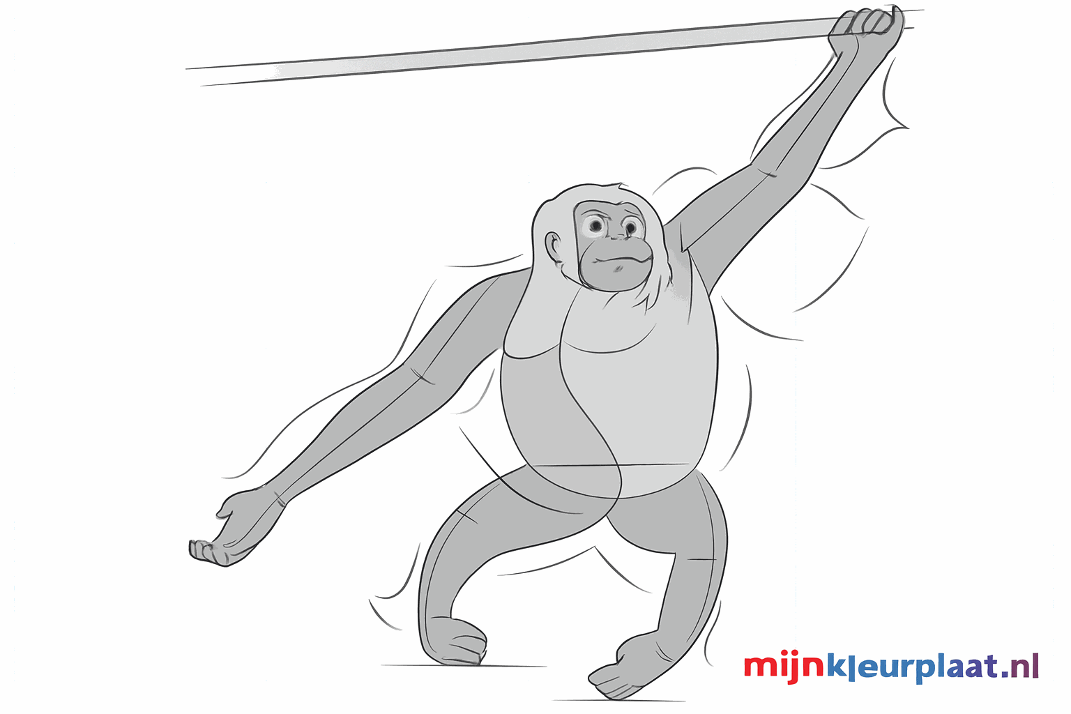 The face of the ape with eyes and a nose.