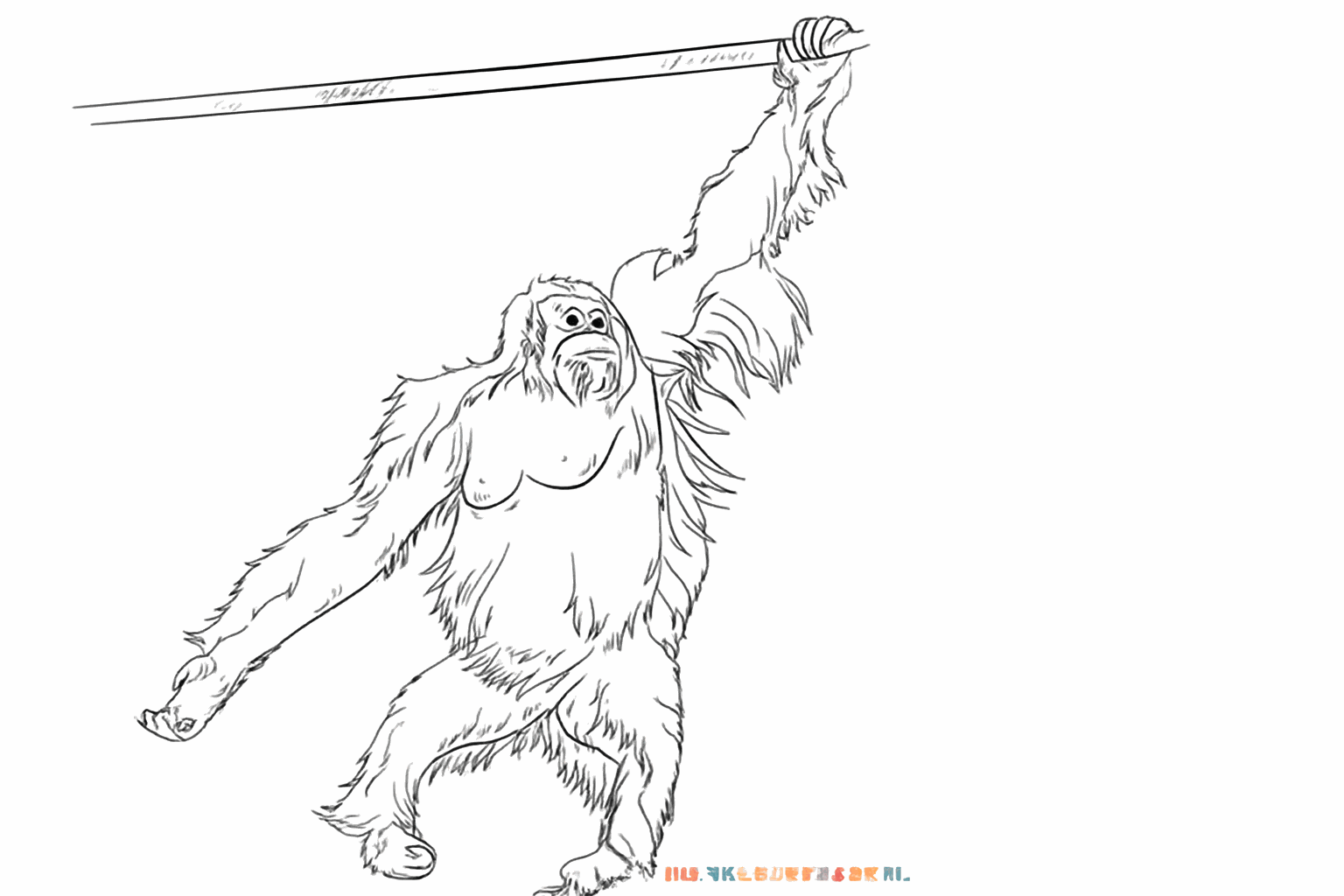 Drawing a Cheerful Orangutan