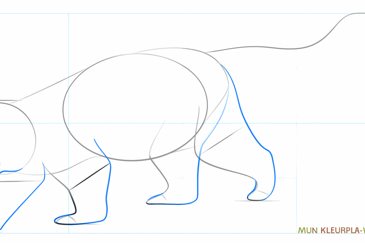 Sketch of the thick legs and the snout of the red panda.