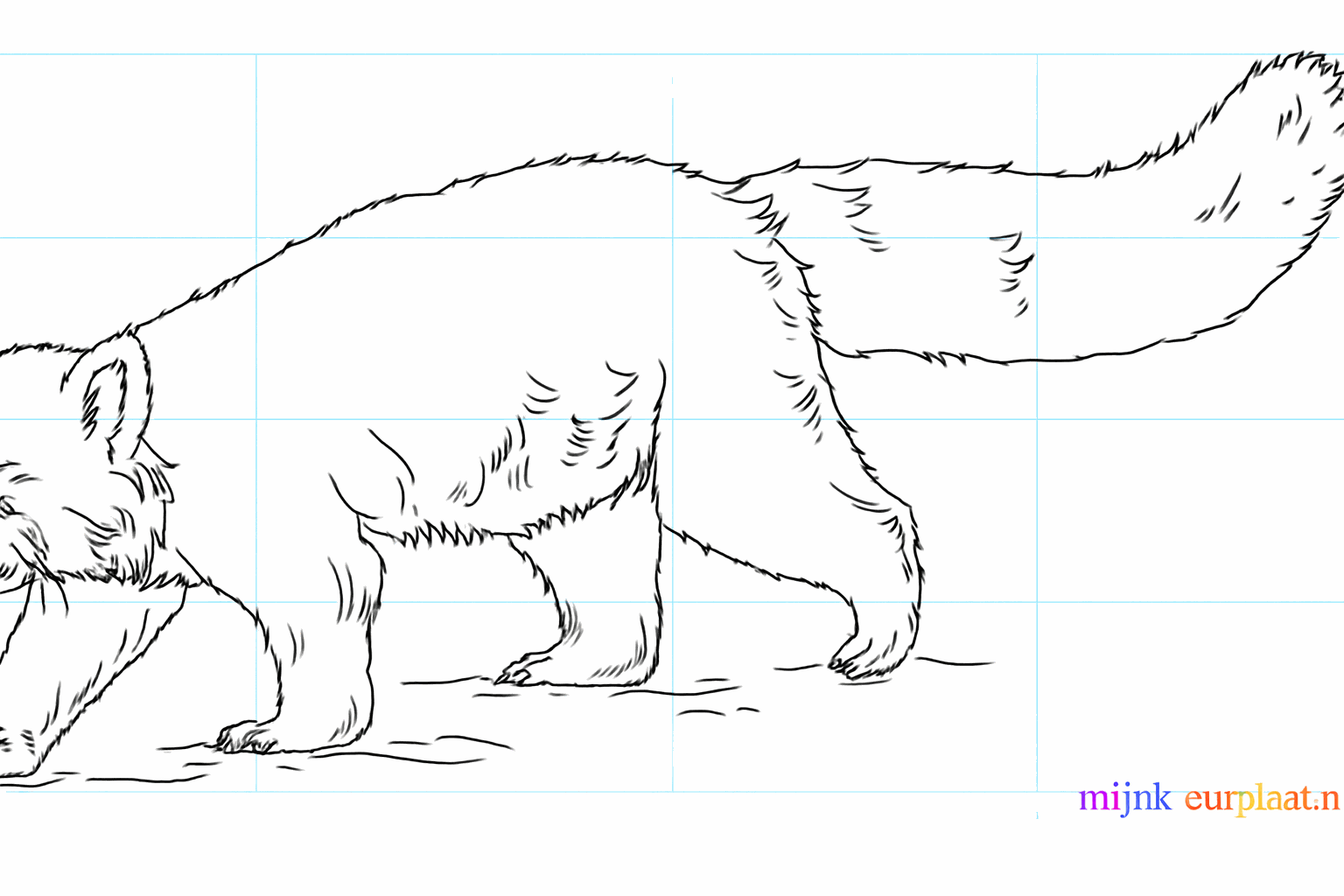 Drawing a cute red panda