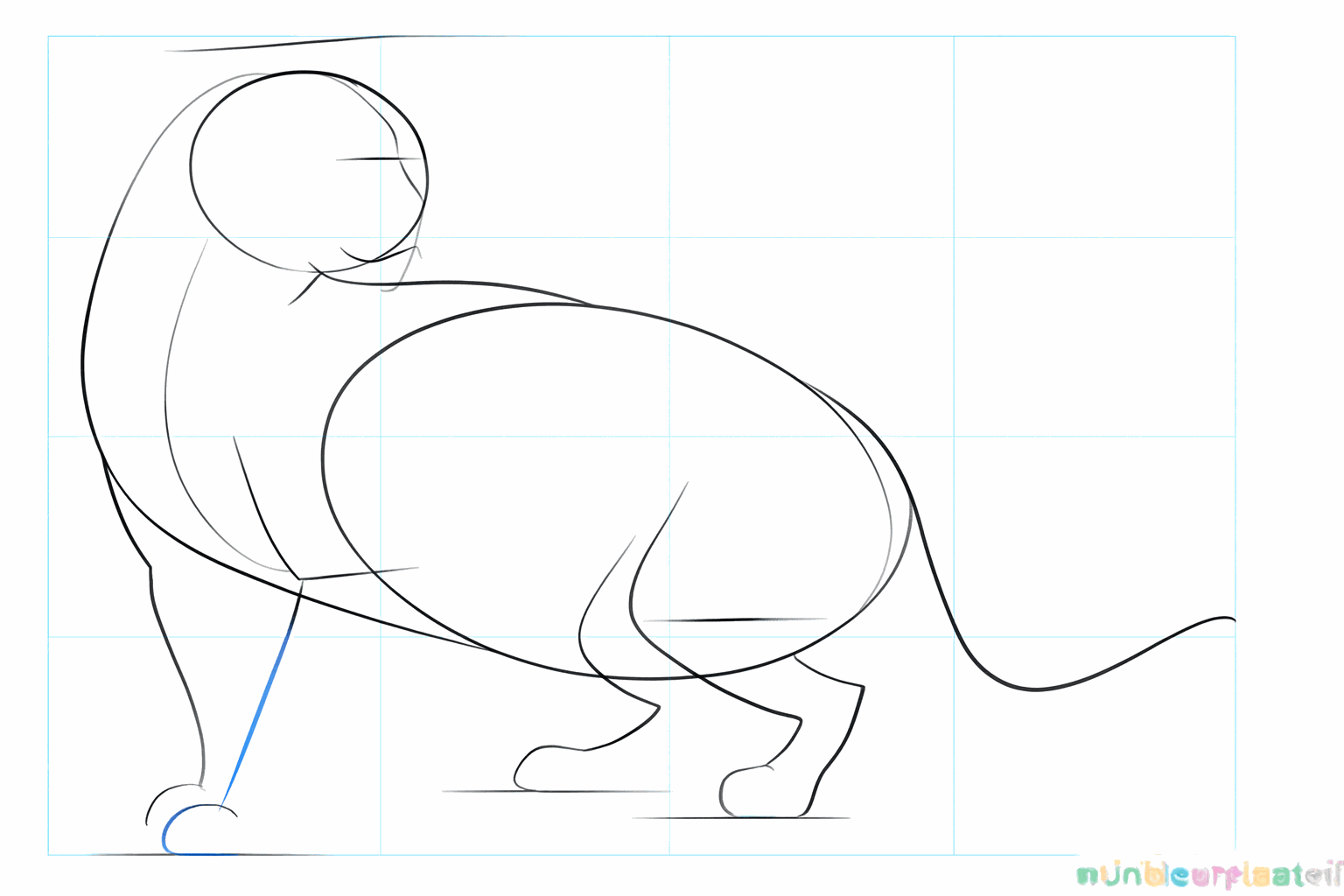 Guide lines for the legs and triangular ears on the head.