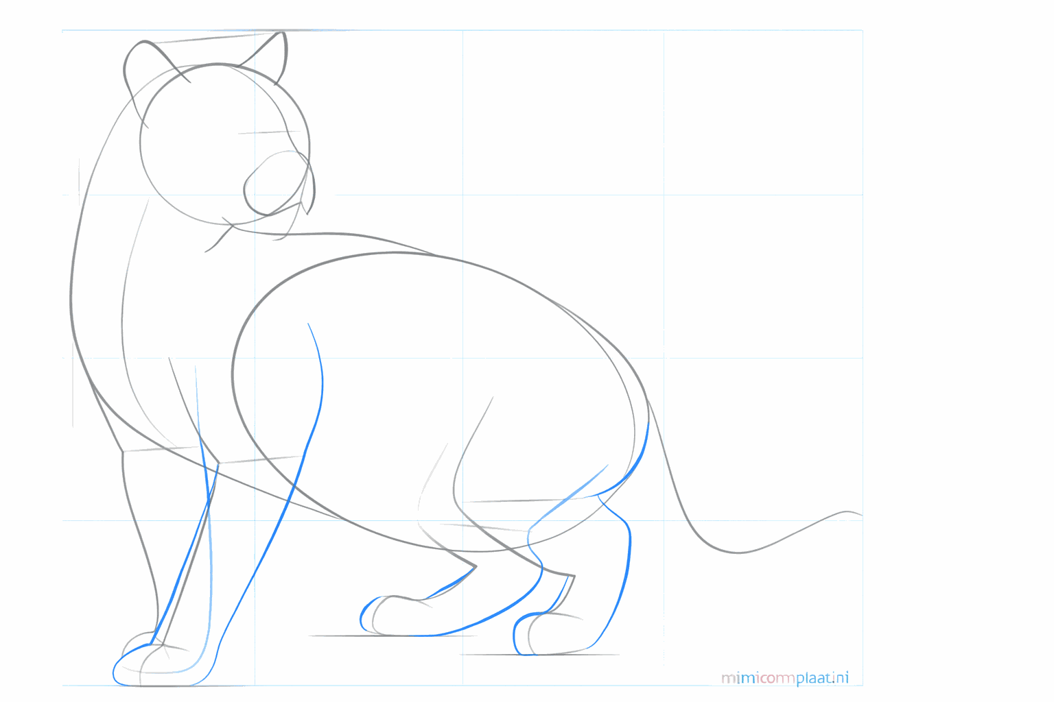Thicker legs and a snout added to the ocelot.