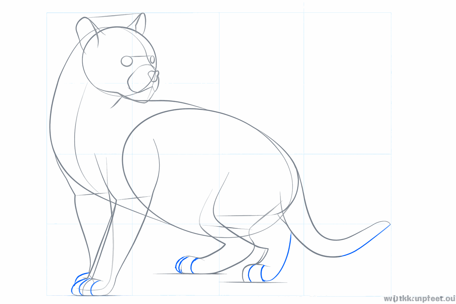 Face of the ocelot with eyes, nose, and rounded ears.