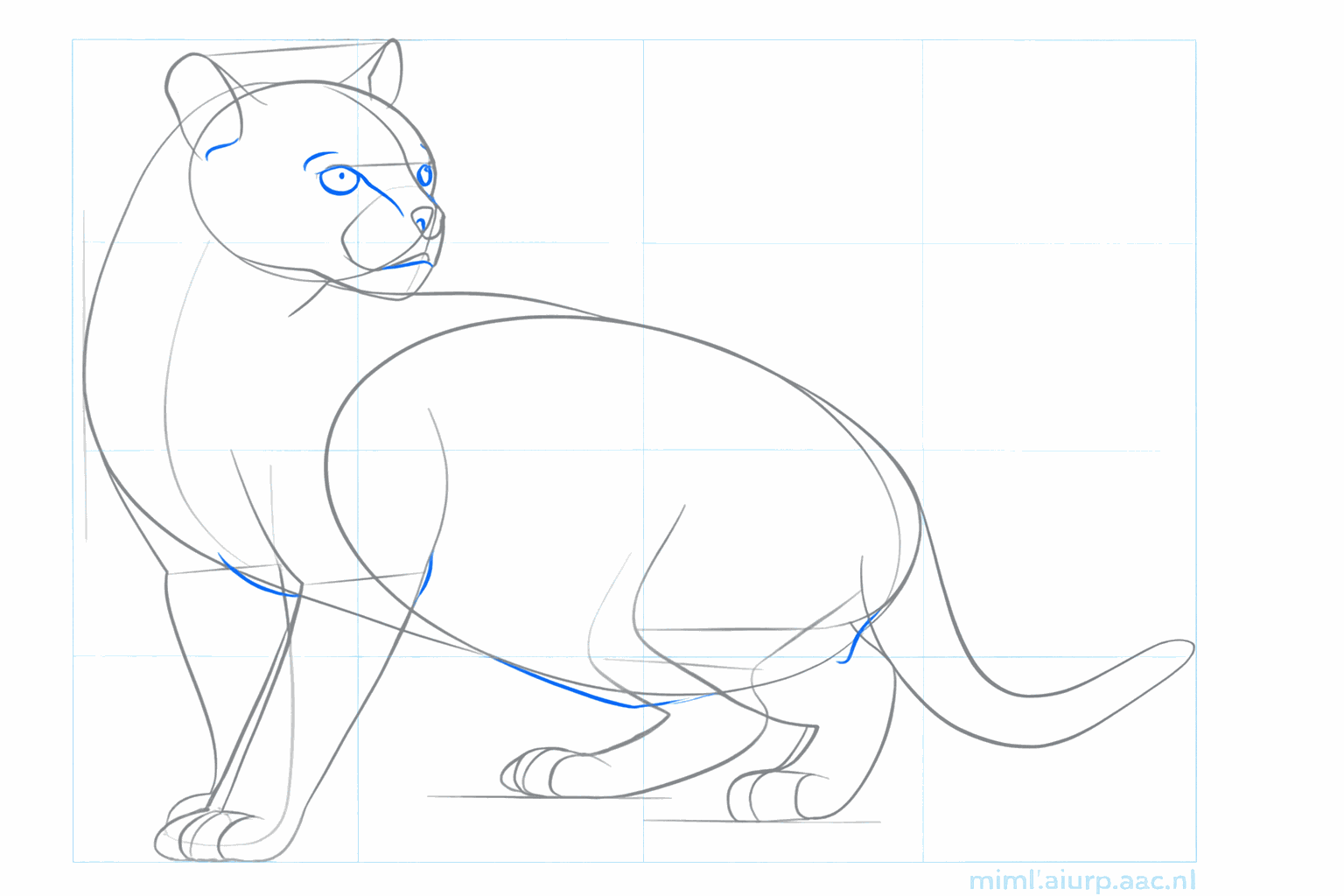 Legs with toes and a thick tail for the wild cat.