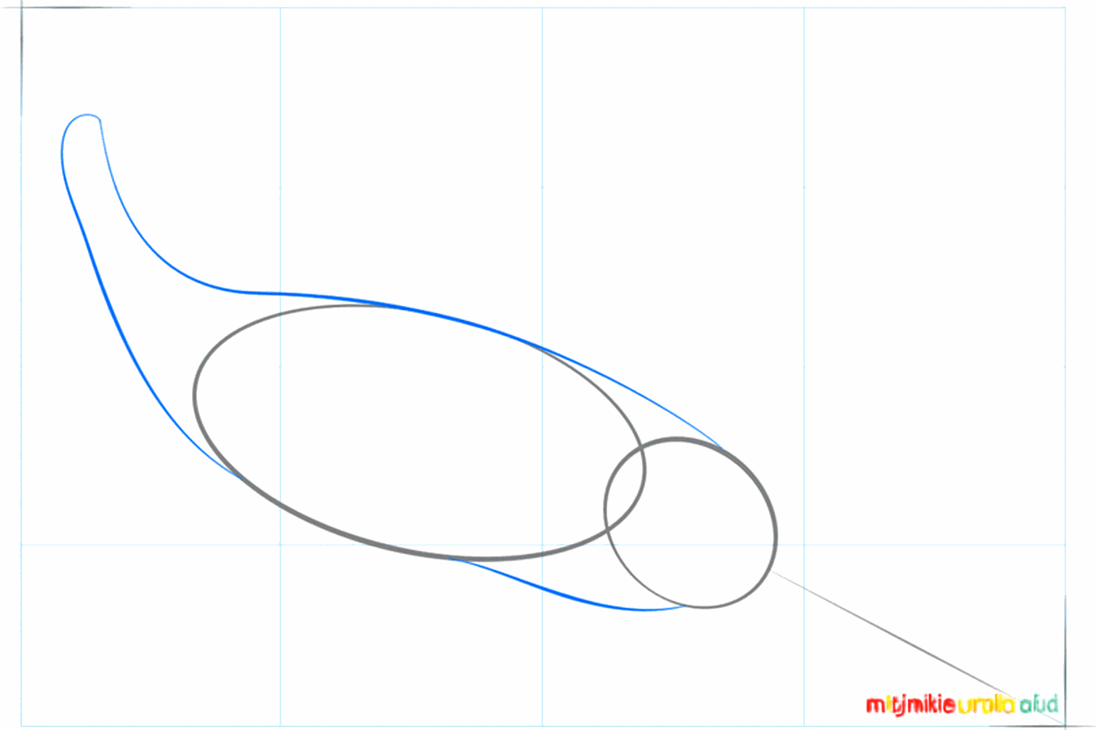 The outline of the narwhal's body drawn around the ovals.