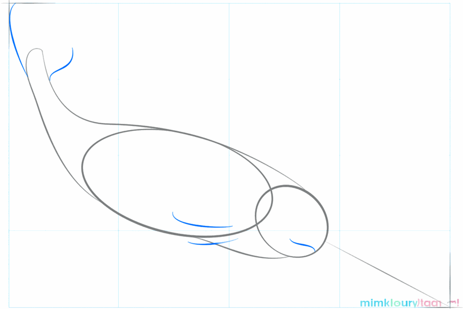 Guide lines for the tail and the mouth of the narwhal.