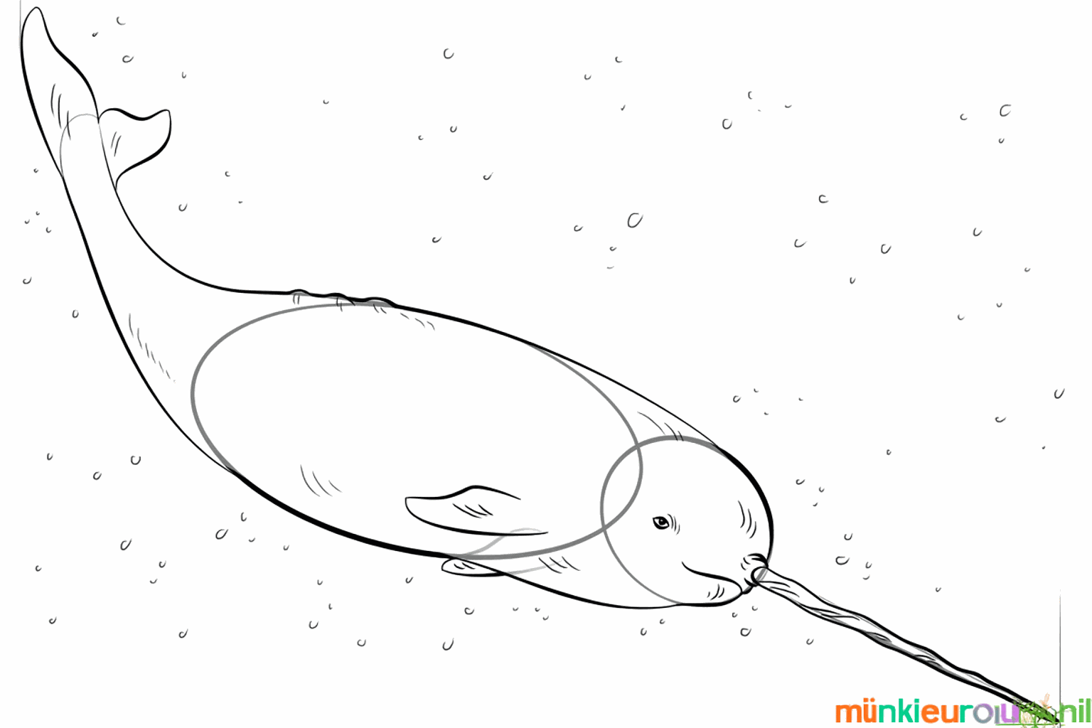 Details such as spots and a smile are added to the narwhal.