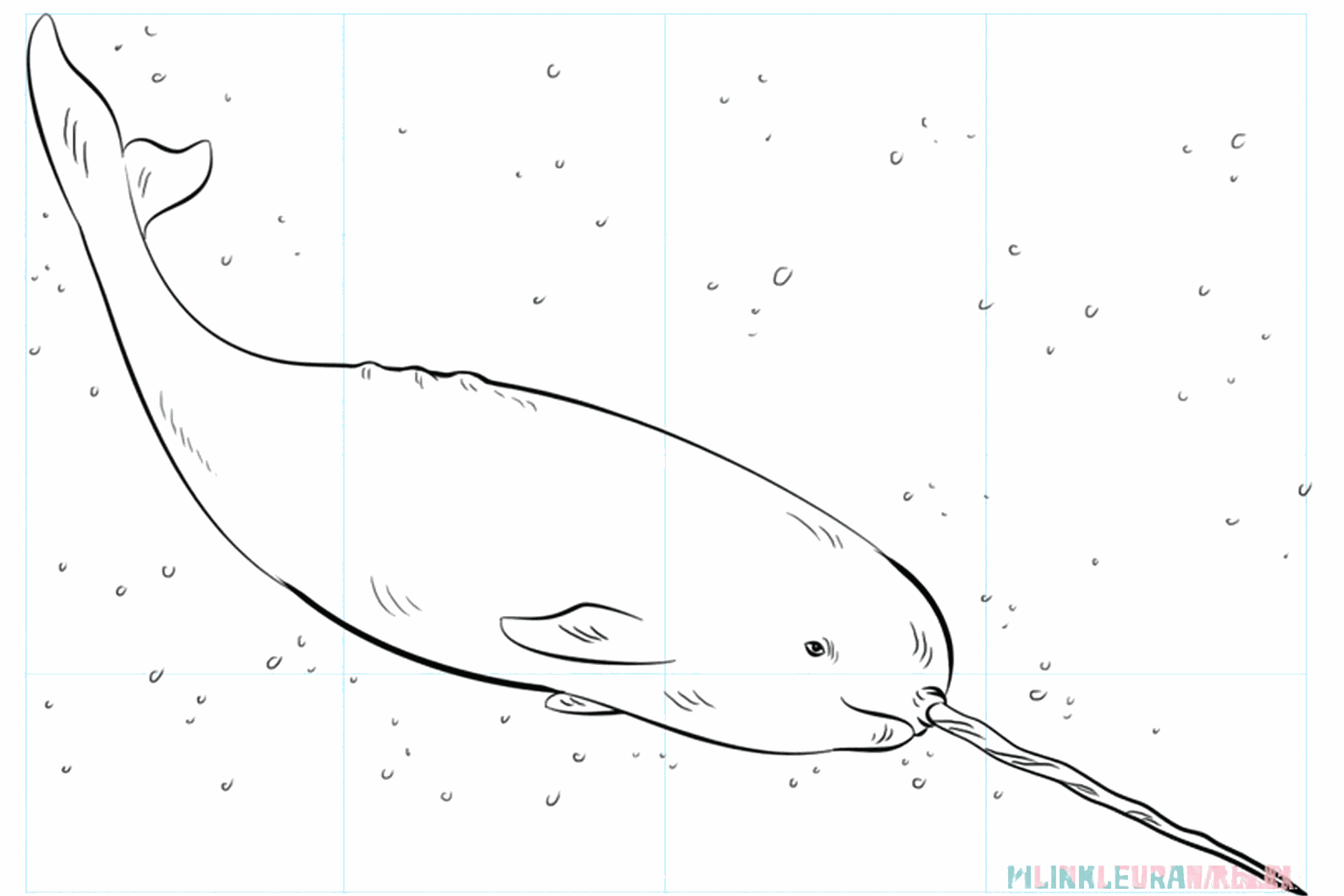 Drawing a Magical Narwhal: The Unicorn of the Sea