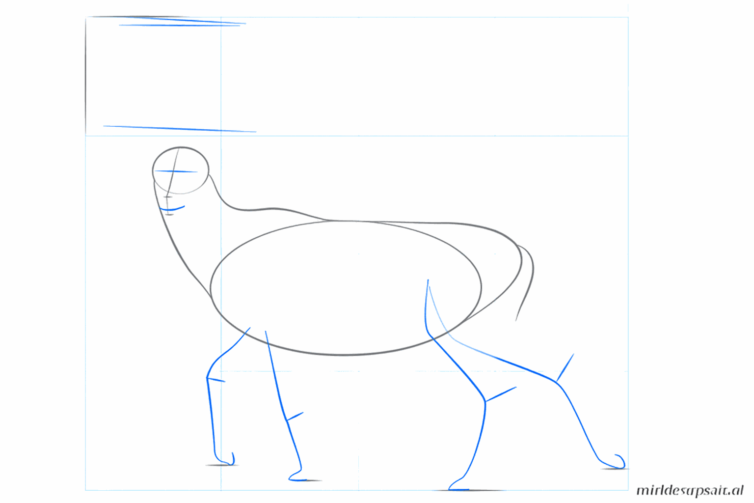 Drawing a deer: Adding guide lines for the legs and the shape of the snout.