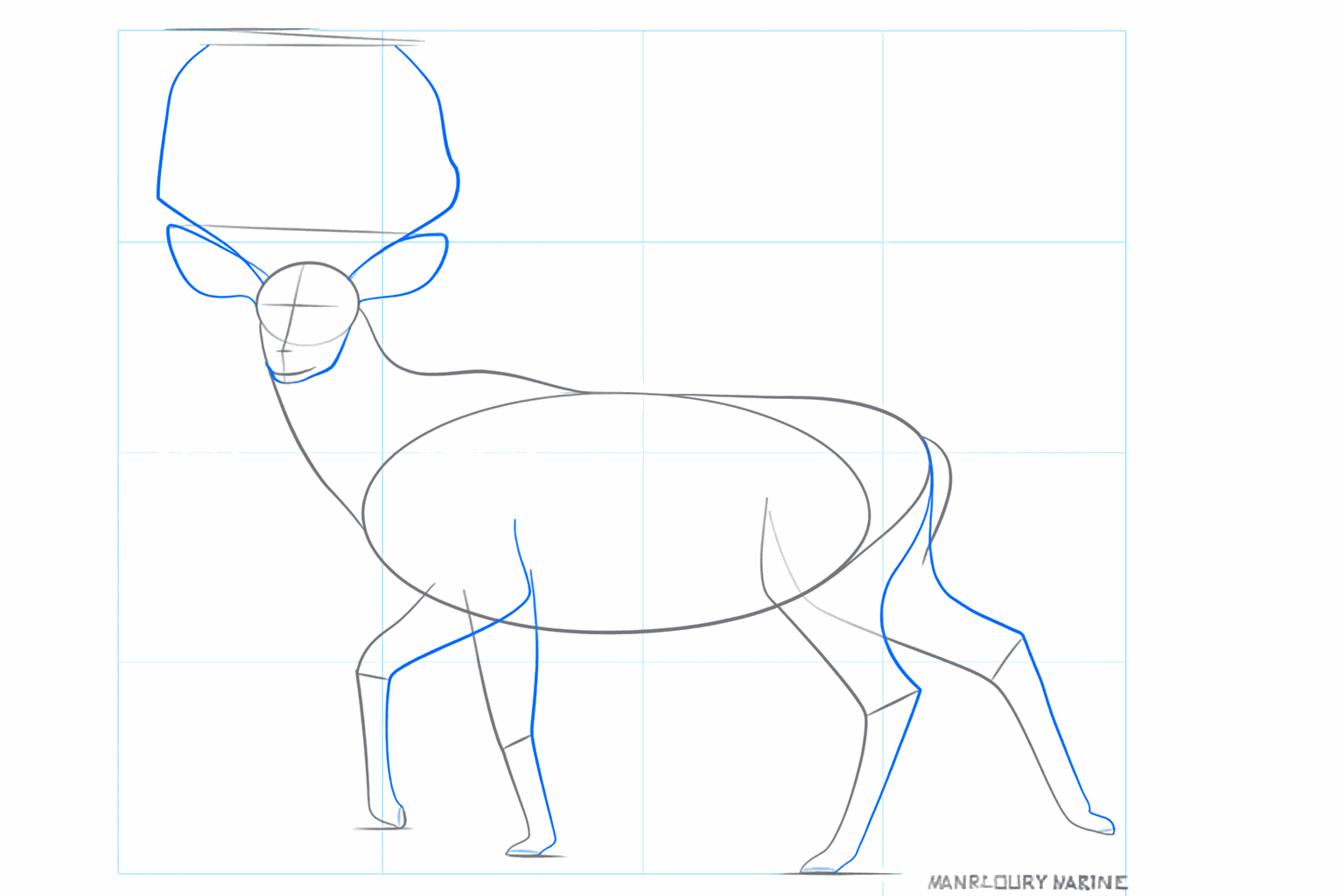 Drawing lesson: Making the legs thicker and drawing large ears on the head of the deer.