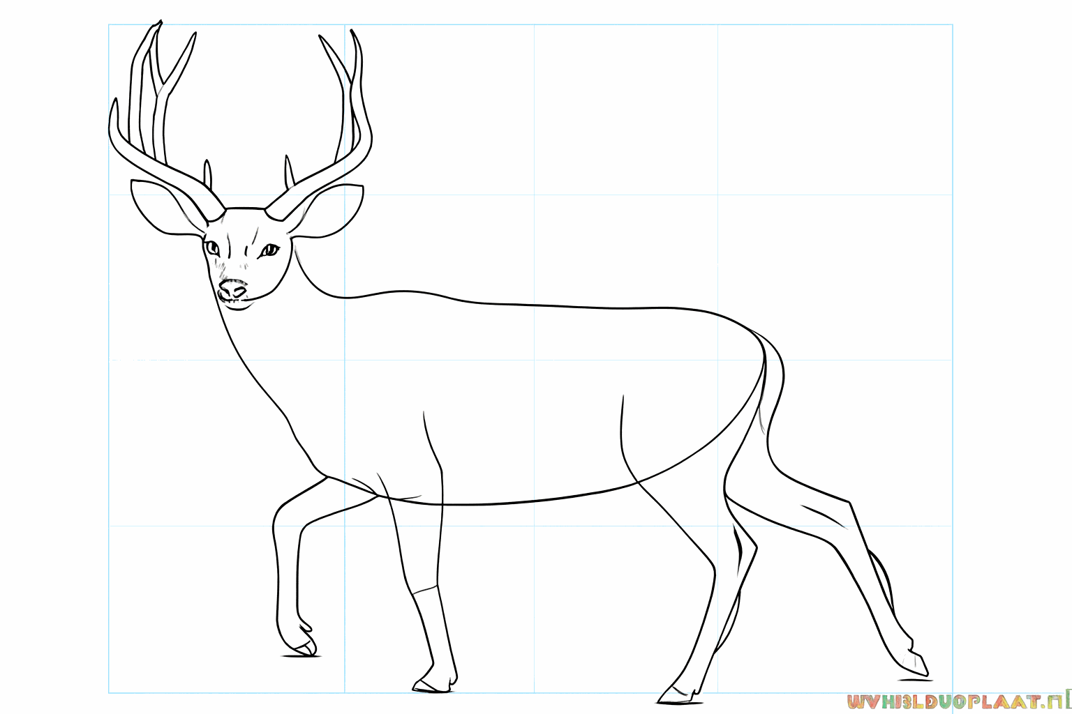 Drawing a little deer: Adding details such as hooves, an eye, and a nose.