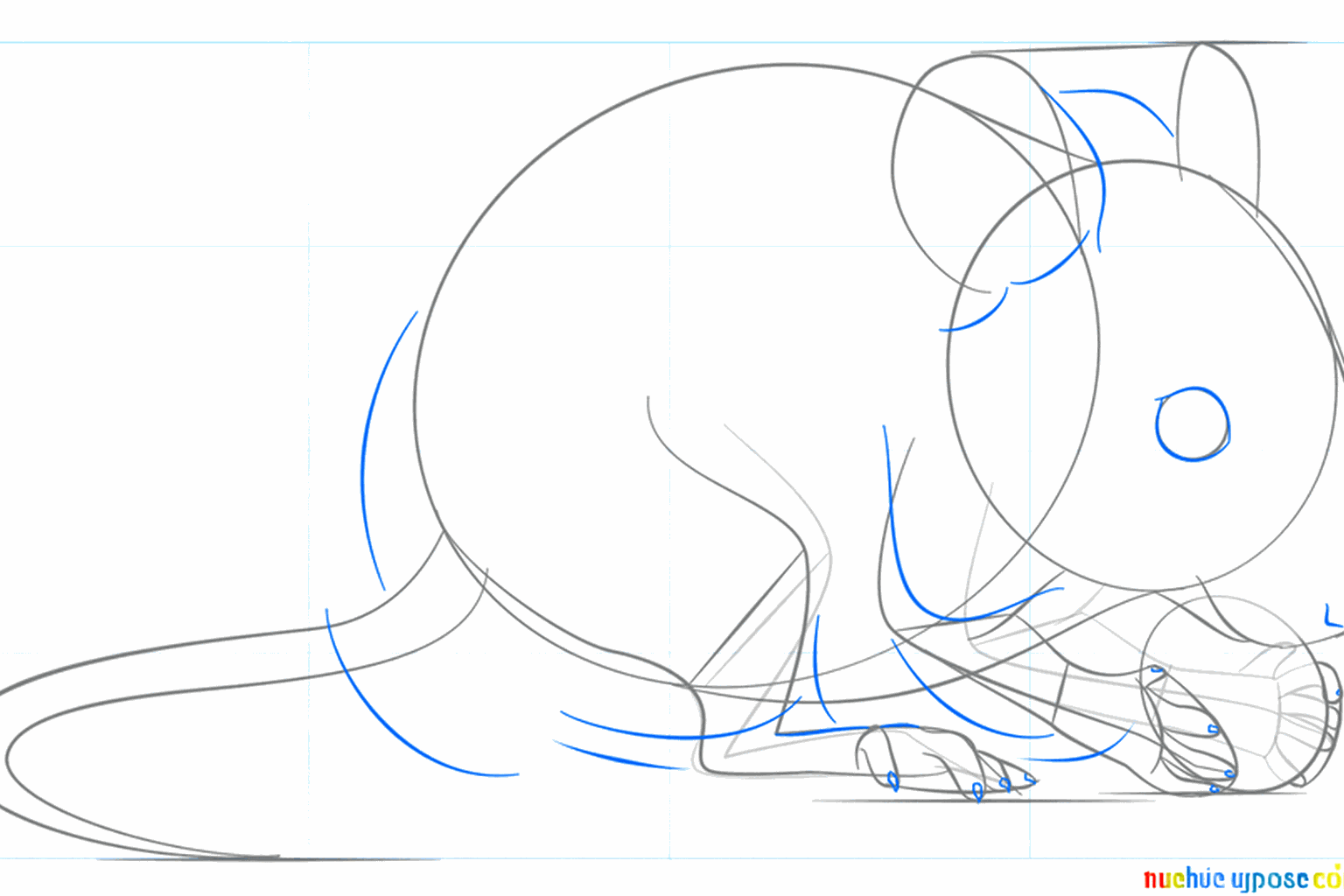 Details wie das Auge, die Nase und die kleinen Mausezehen hinzufügen.