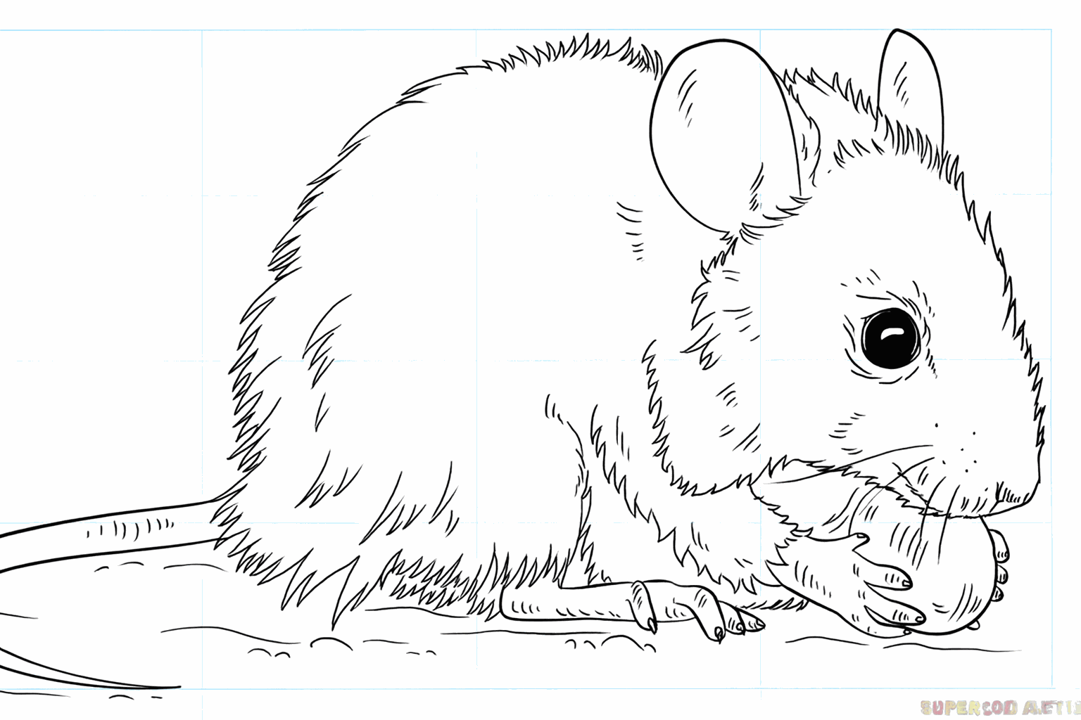 Drawing a cute little mouse in 8 simple steps