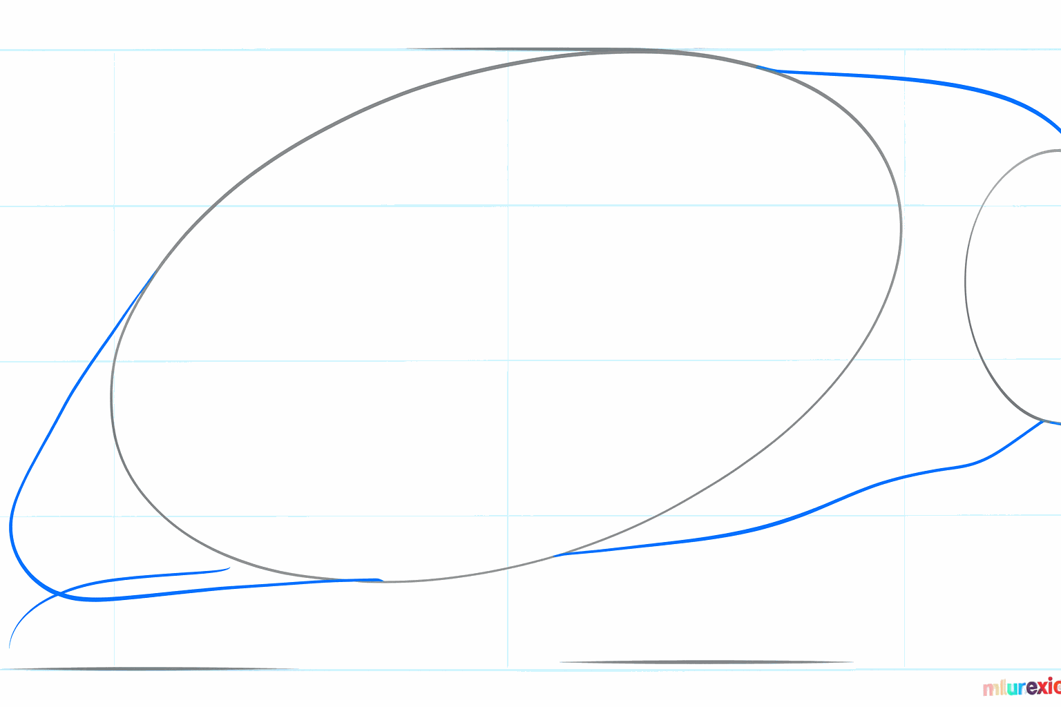 Manatee drawing lesson step 2: Connecting the outline of the back and the belly.